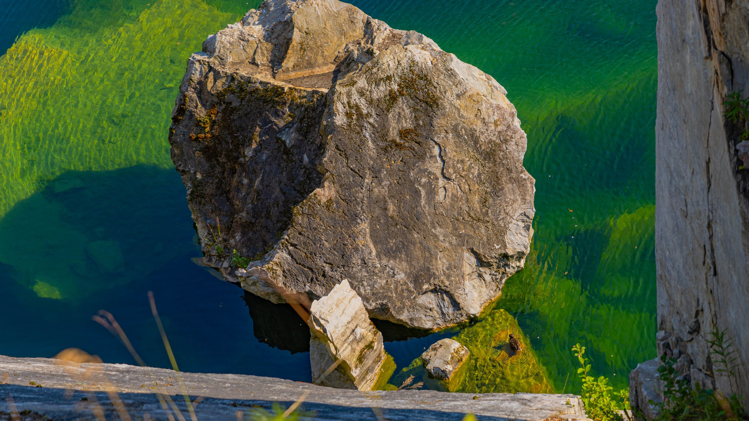 2025 07 Выборг — Сортавала — Великий Новгород — Псков. Фотографии