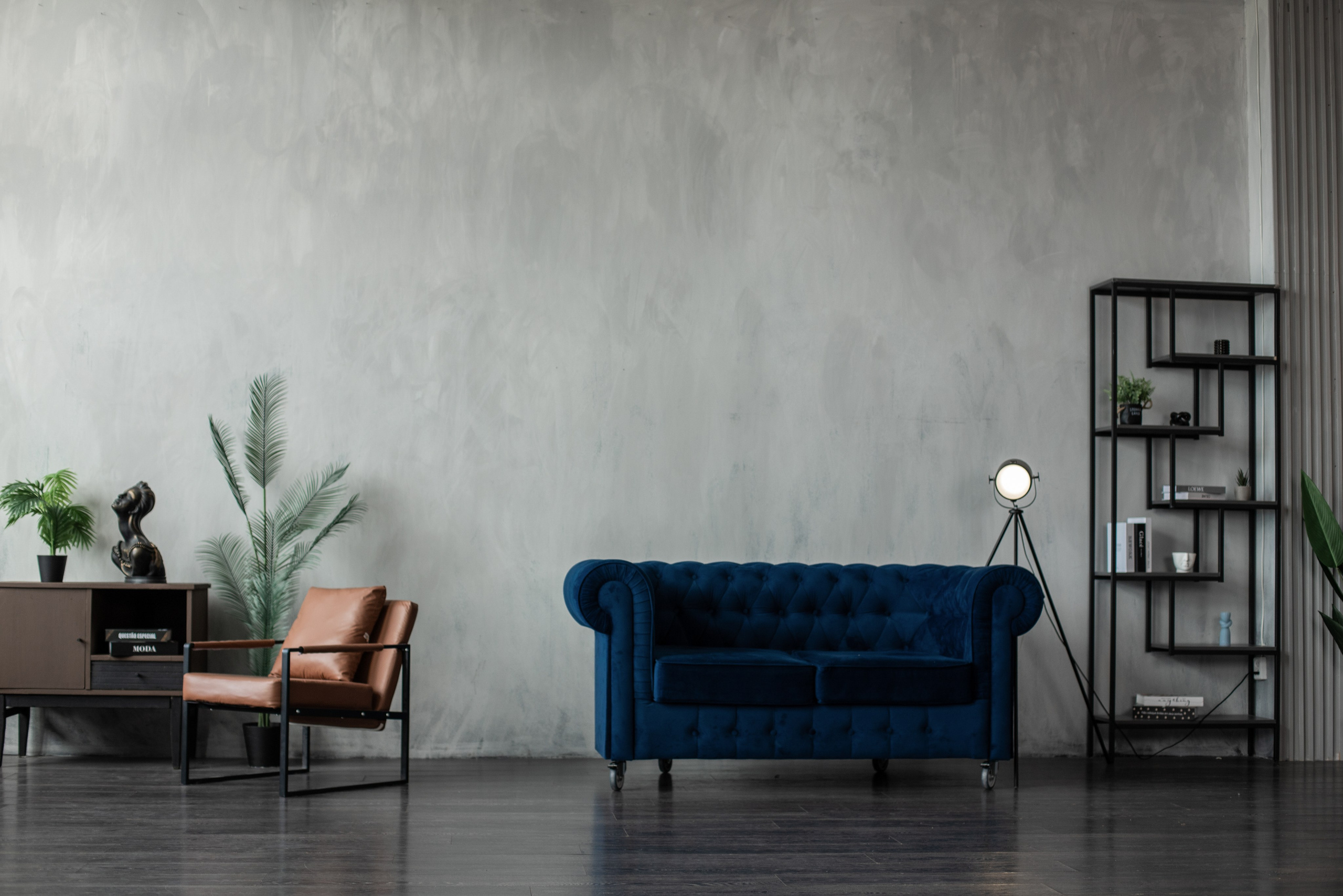 Честер (студия Зеркало). Фотограф г. Хабаровск. Семейные и индивидуальные съёмки