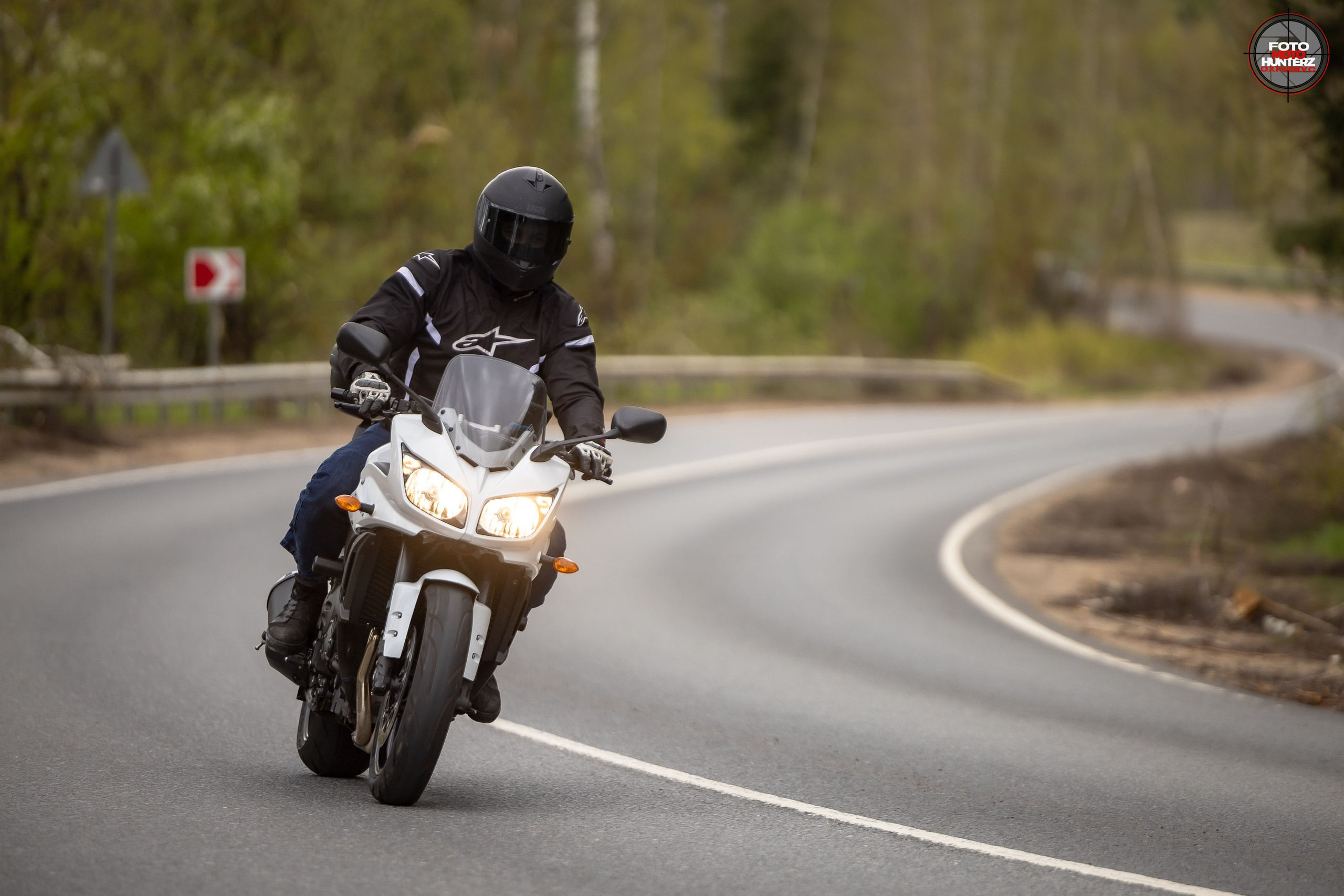 Первое Сафари в 2025 г. на Рогачевском ш. Фотограф Владимир Охрименко