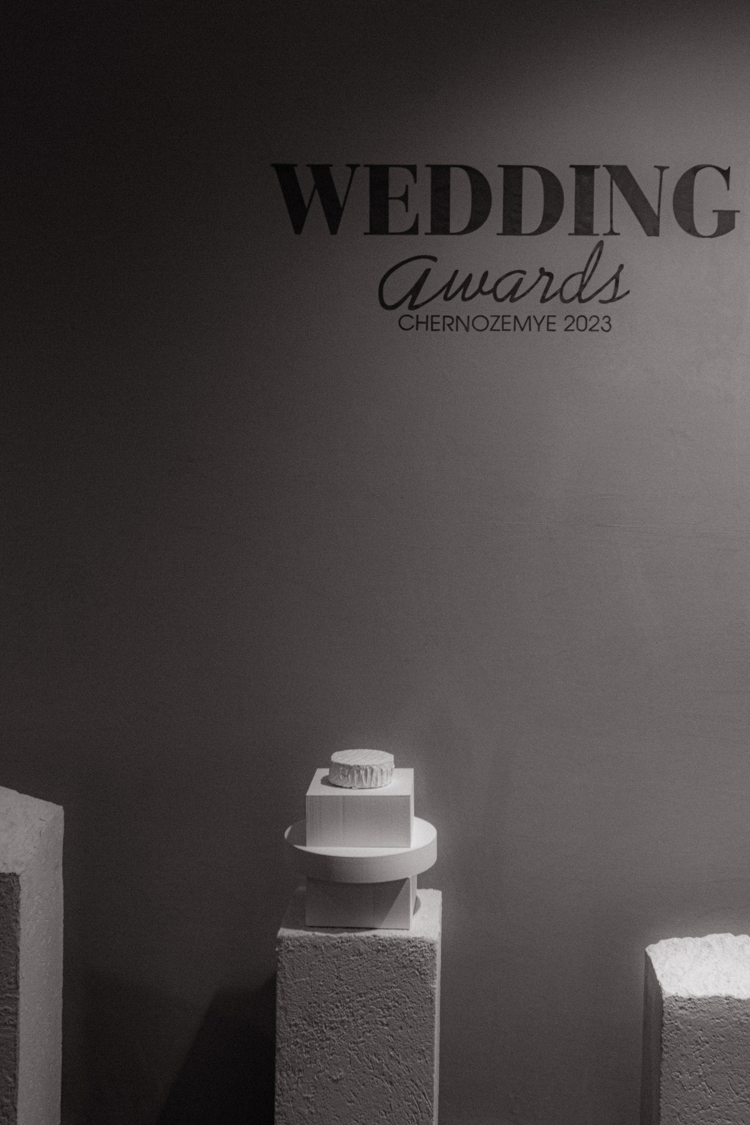 WEDDING AWARDS (B&W). Свадебный фотограф в Воронеже