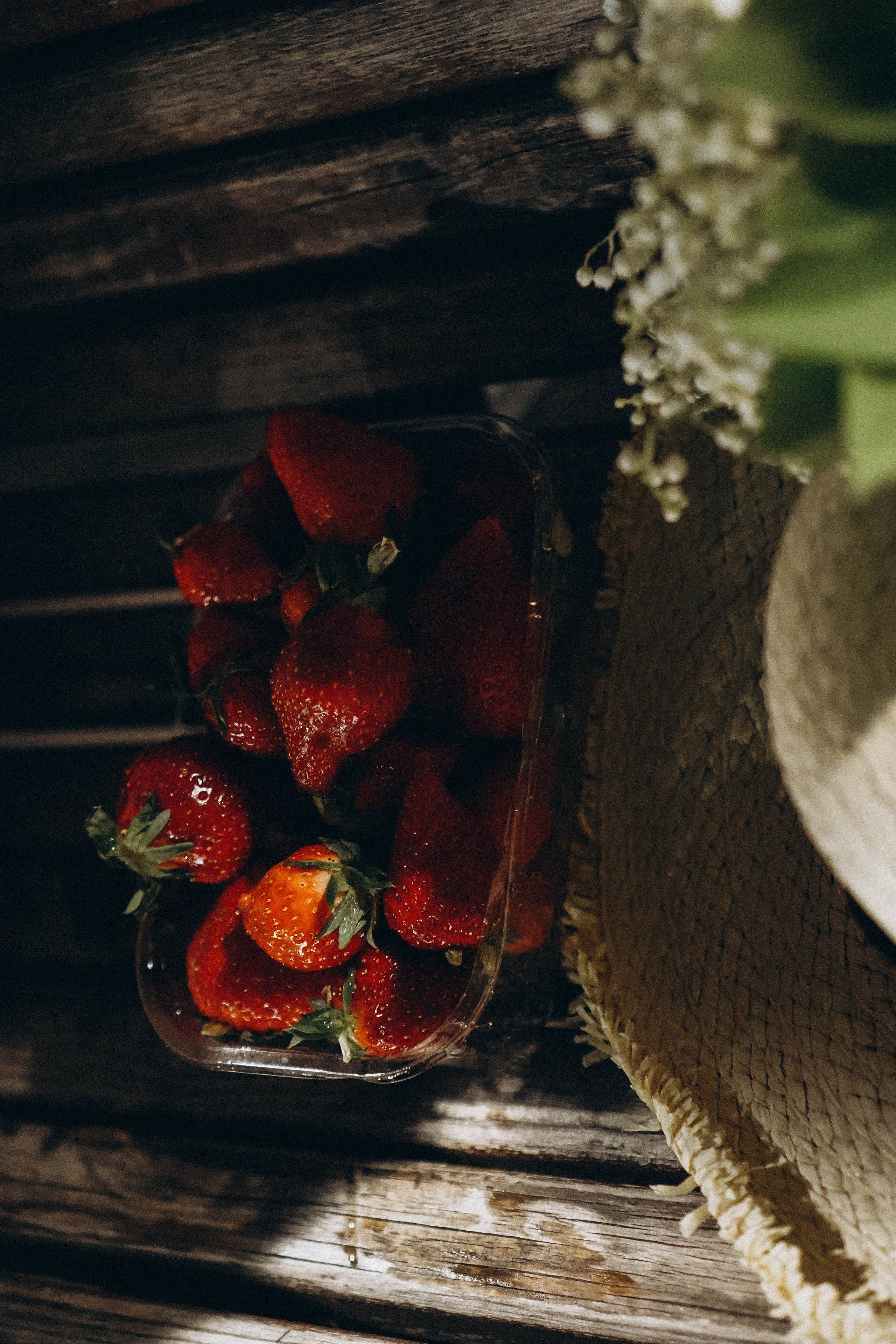 Вечернее кафе. Профессиональный фотограф, Санкт-Петербург — Виктория Богомолова