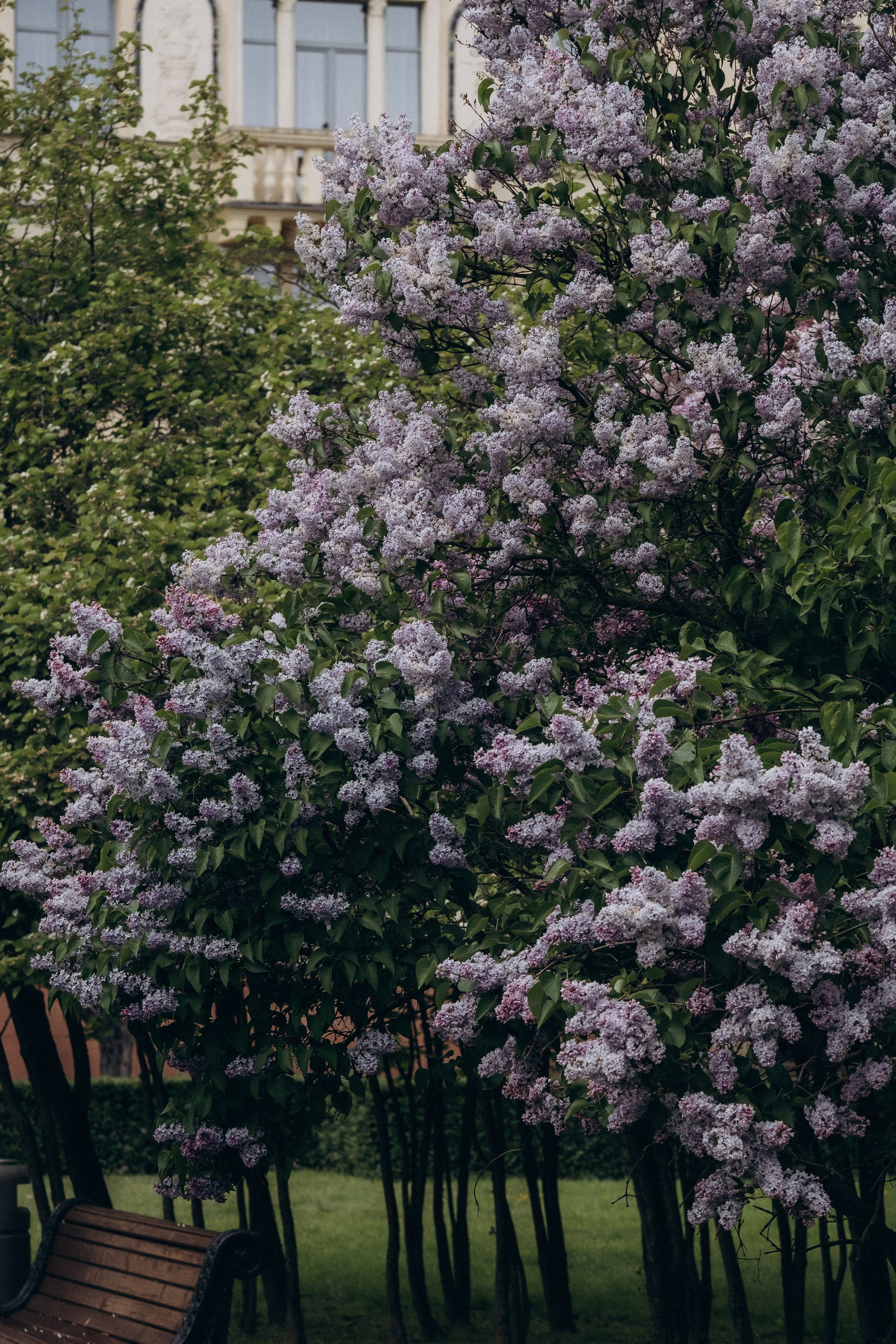 ПРОГУЛКА В МИНСКЕ. Профессиональный фотограф, Санкт-Петербург — Виктория Богомолова