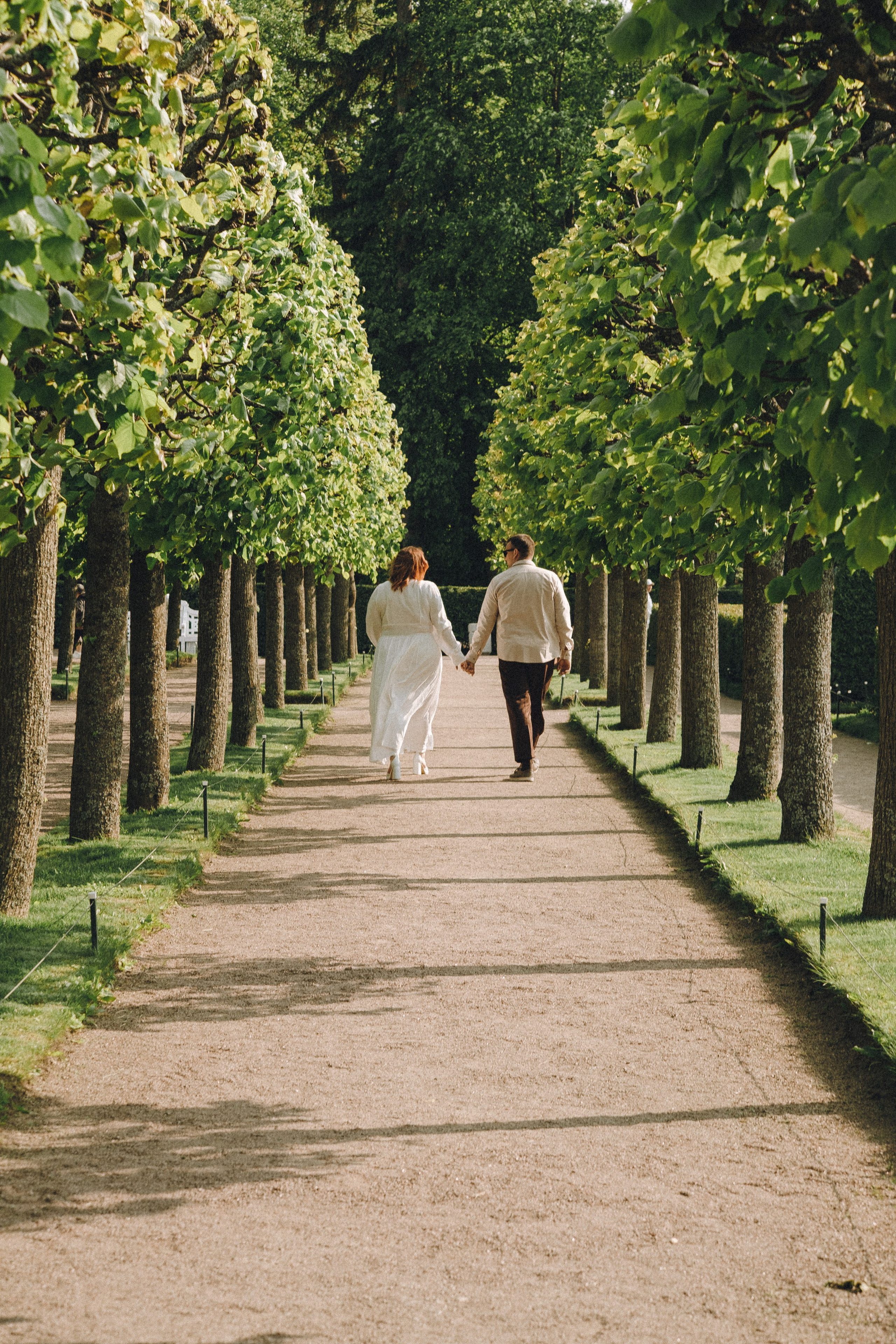 СВАДЕБНАЯ ИСТОРИЯ В ПЕТЕРГОФЕ. Профессиональный фотограф, Санкт-Петербург — Виктория Богомолова
