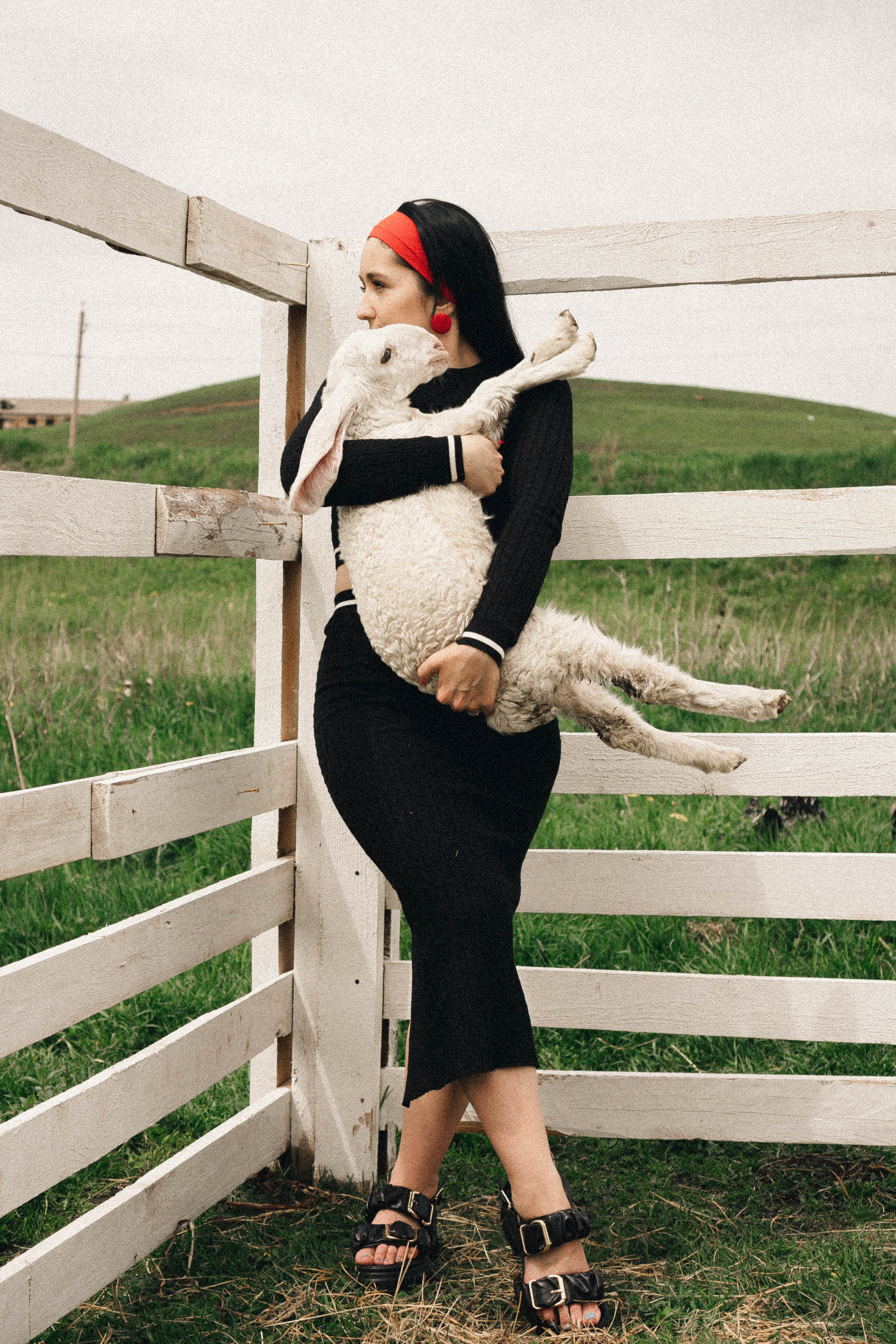 Ферма Альпак. Профессиональный фотограф, Санкт-Петербург — Виктория Богомолова