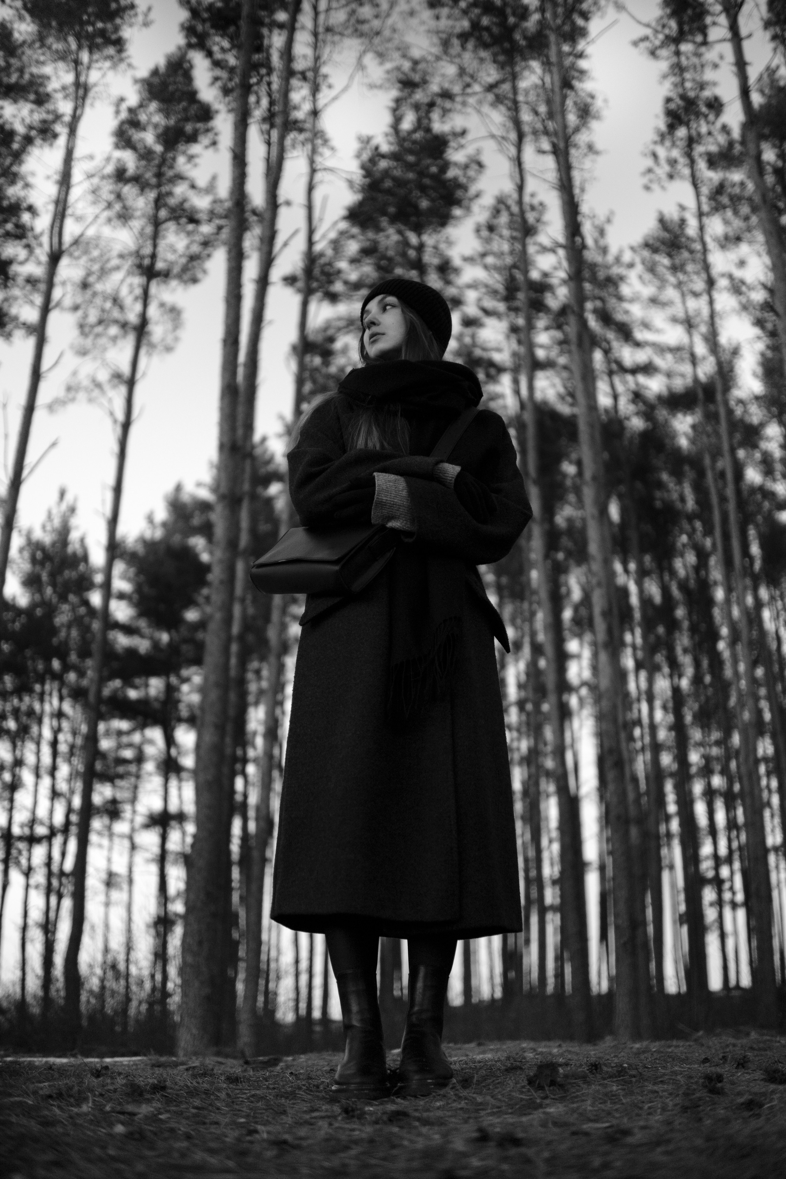 ARINA 3. MAX TIHANKOV