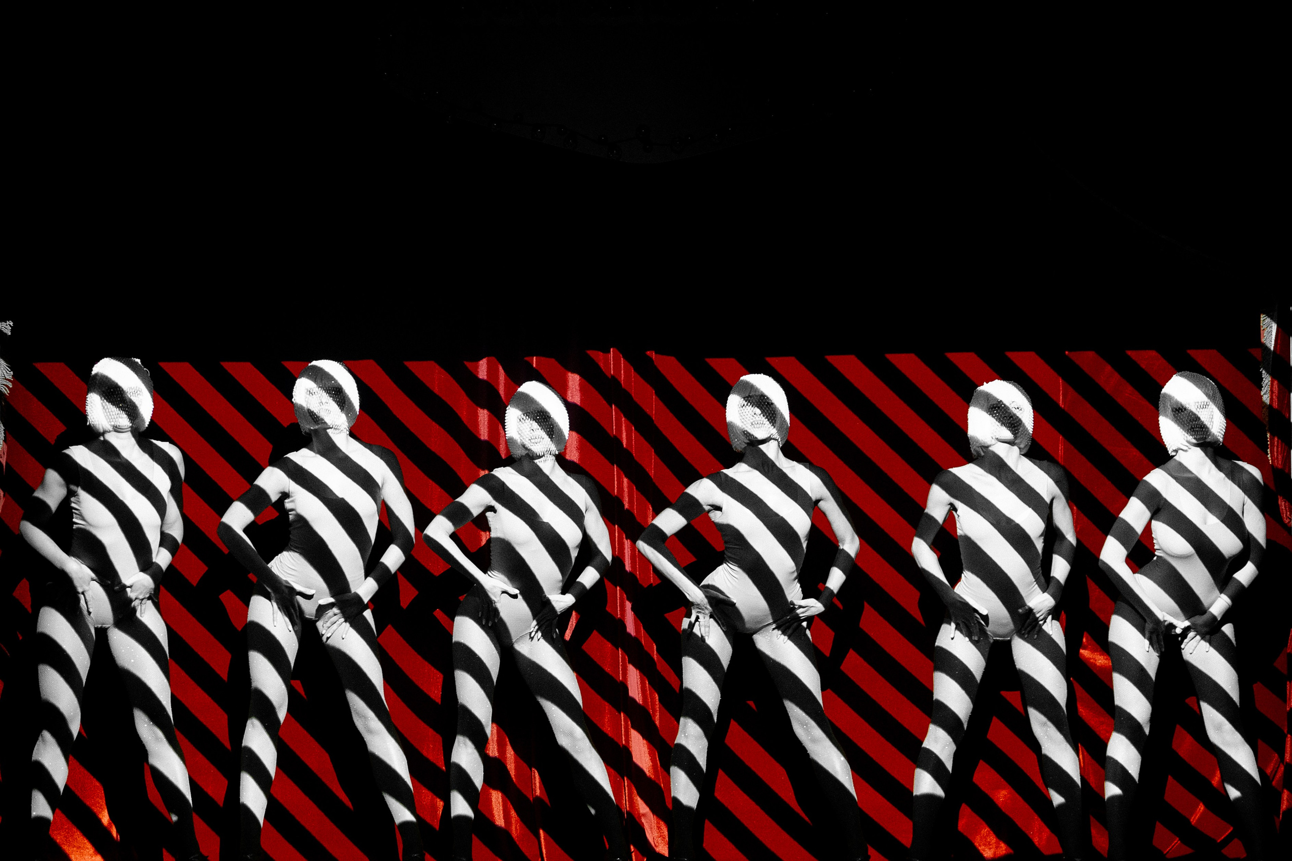 Circus party. Свадебный фотограф Михаил Мирзоян