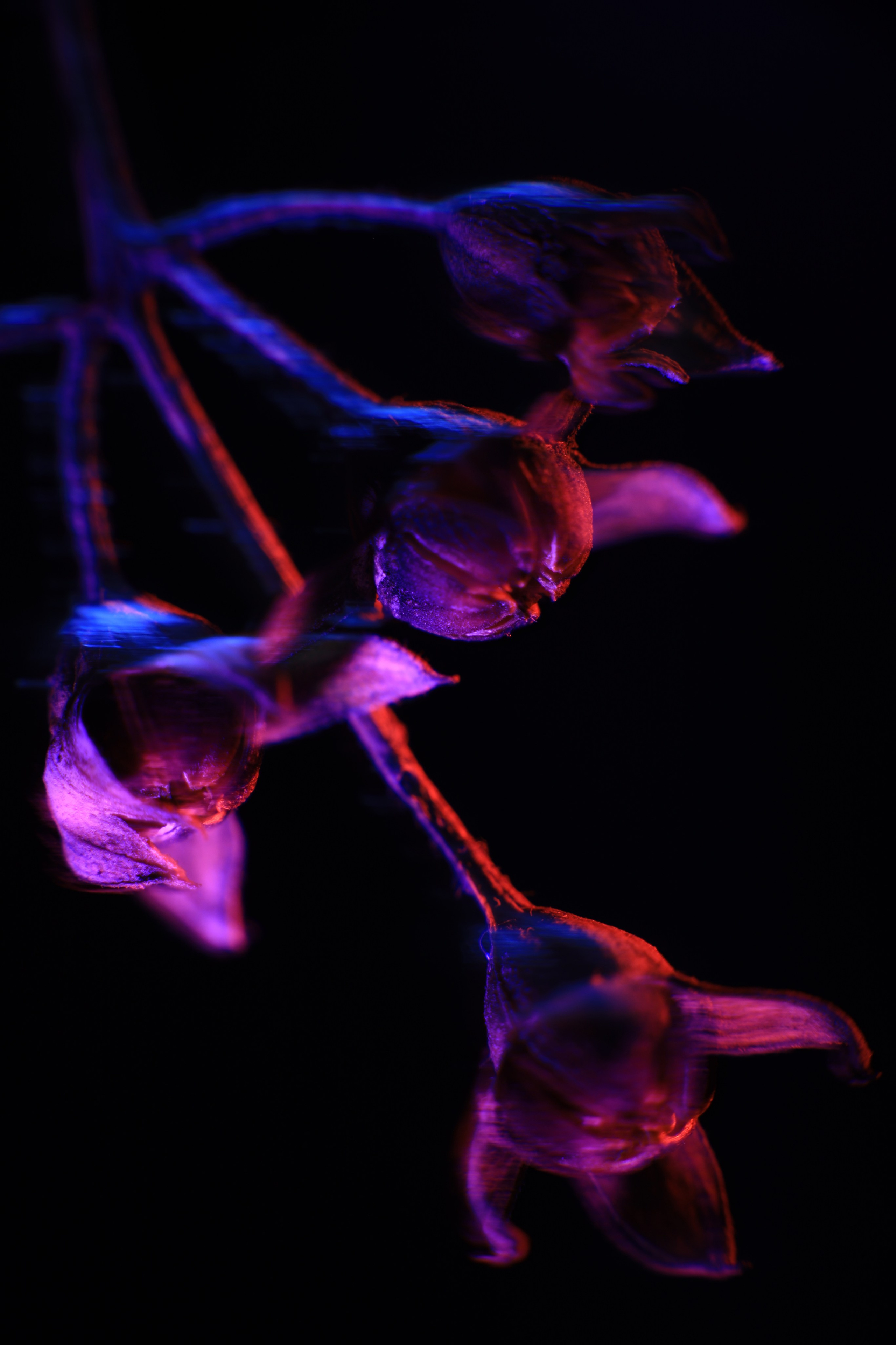 «Красок Тьма Полна». Арт-фотограф во Владивостоке Дмитрий Осипчук