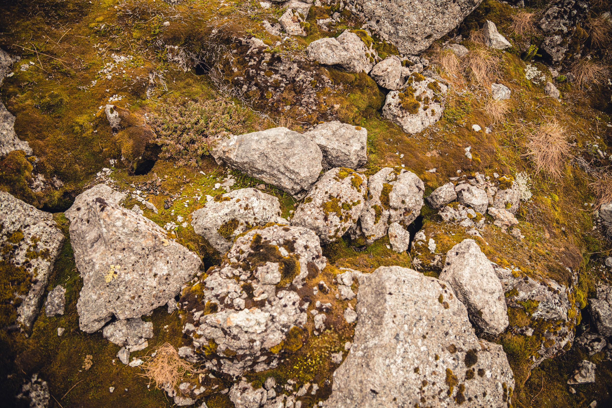 Кольский полуостров. Фотографирую для себя, своей семьи и друзей!