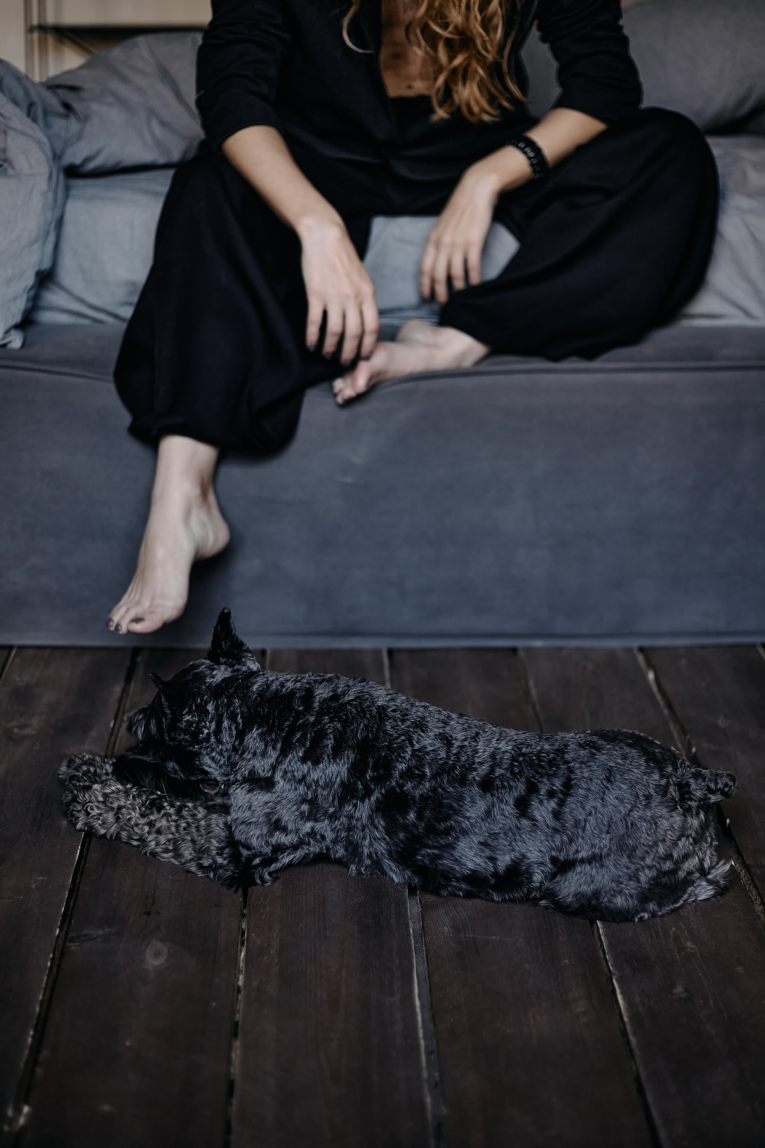 Dog… Cat… Man? Woman!. Екатерина Дымова. Фотограф. Автор проекта «Белый Ветер»