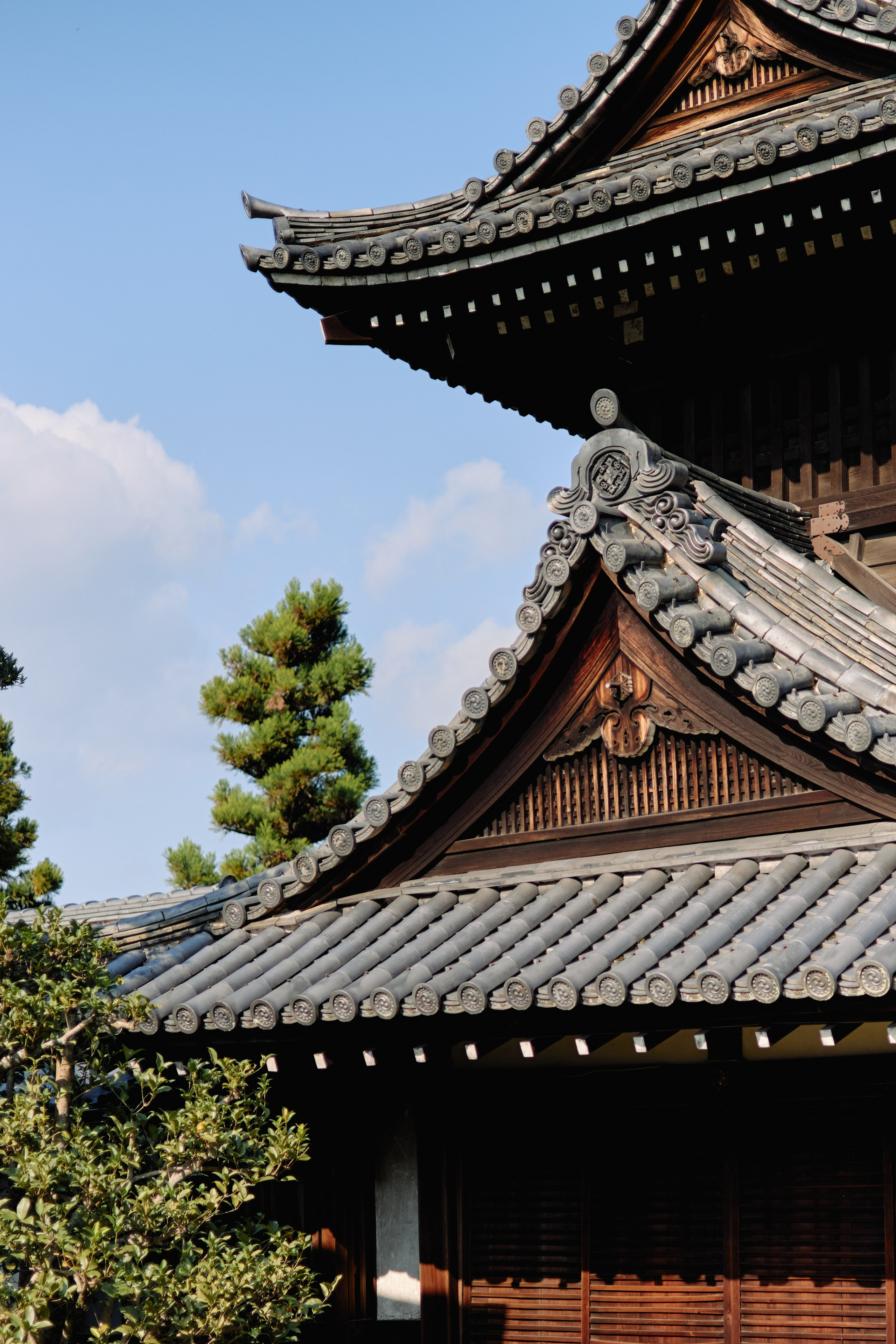 Япония. Профессиональный Фотограф во Владимире, в Москве и в Суздале — Полина Романычева
