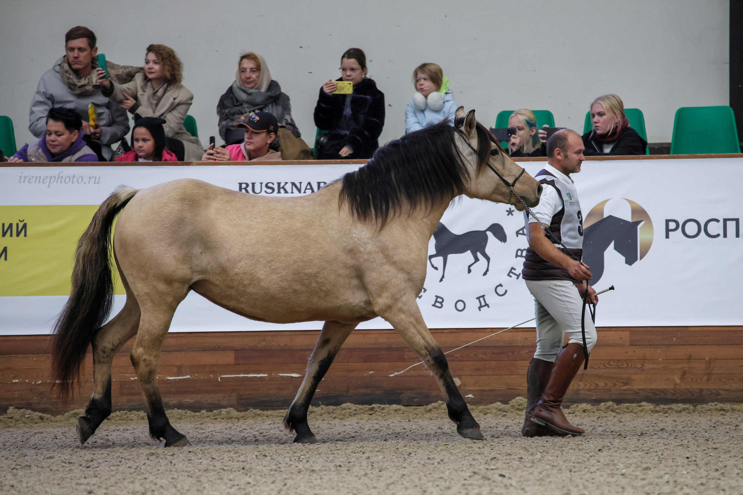 Конная Россия 2024. Irenephoto.ru