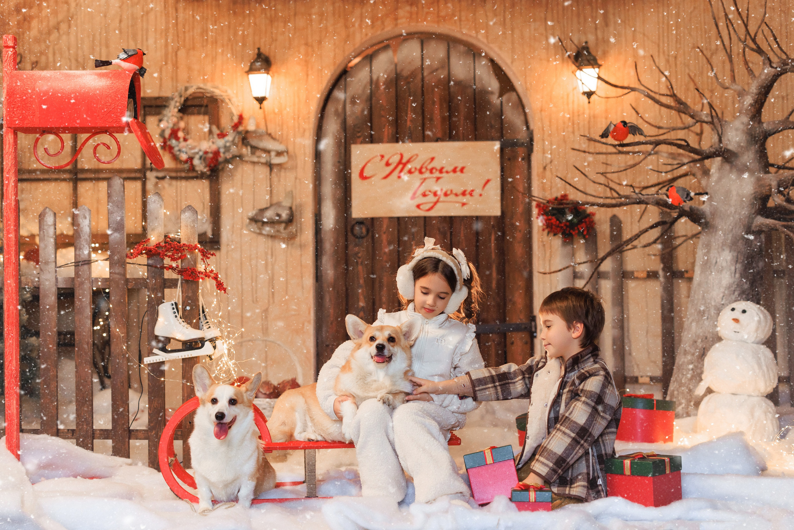 ДВОРИК, Фотостудия «Эль». Семейный и детский фотограф в Краснодаре Анна Трашкова