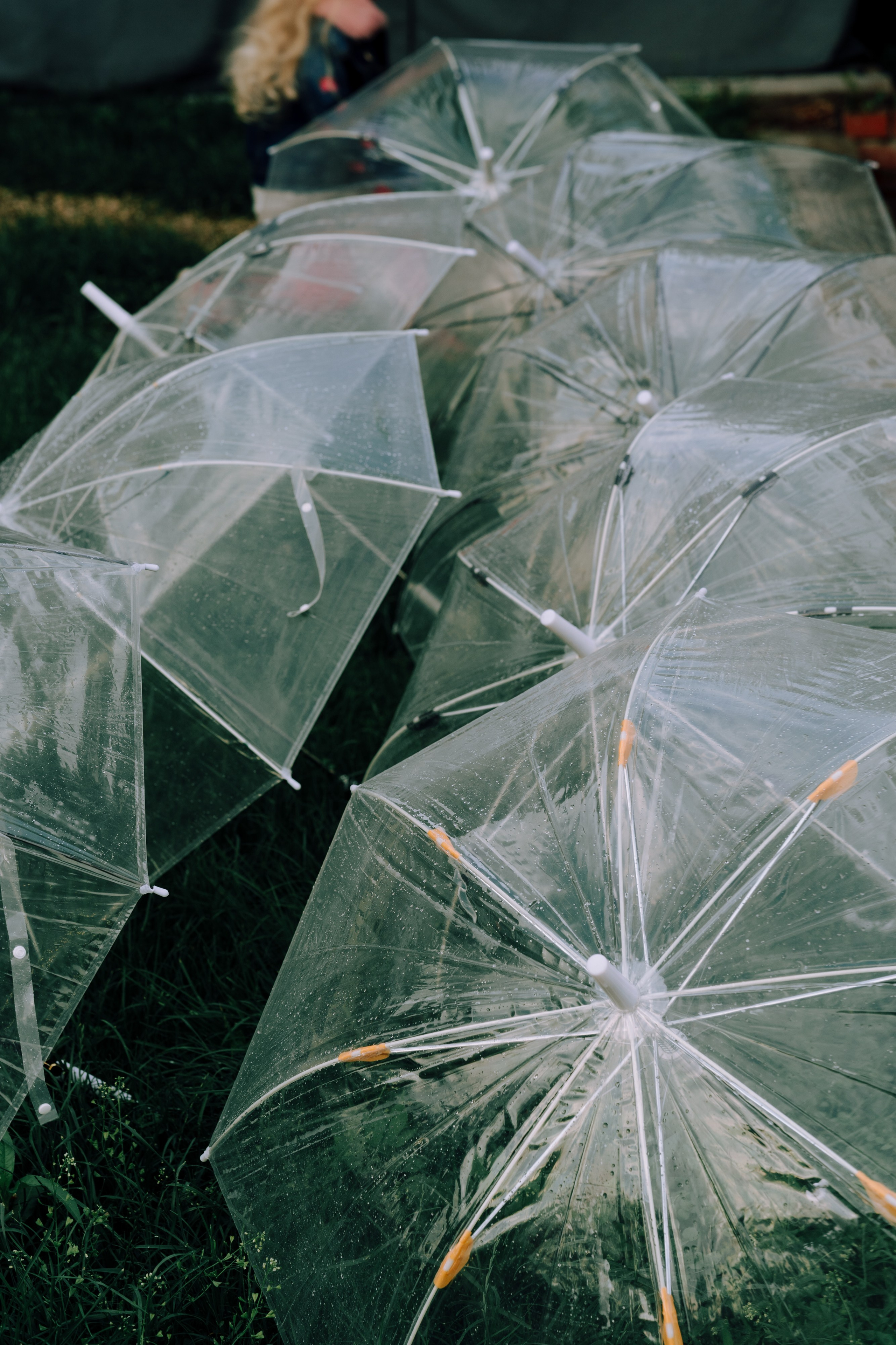 Никита и Алена. Свадебный фотограф в Саратове Антон Слепов