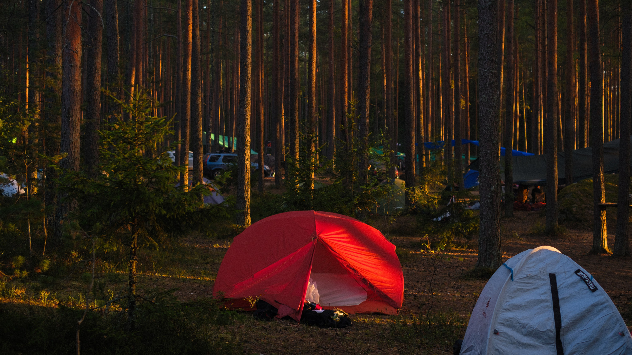 Осеннее заходское | 2024