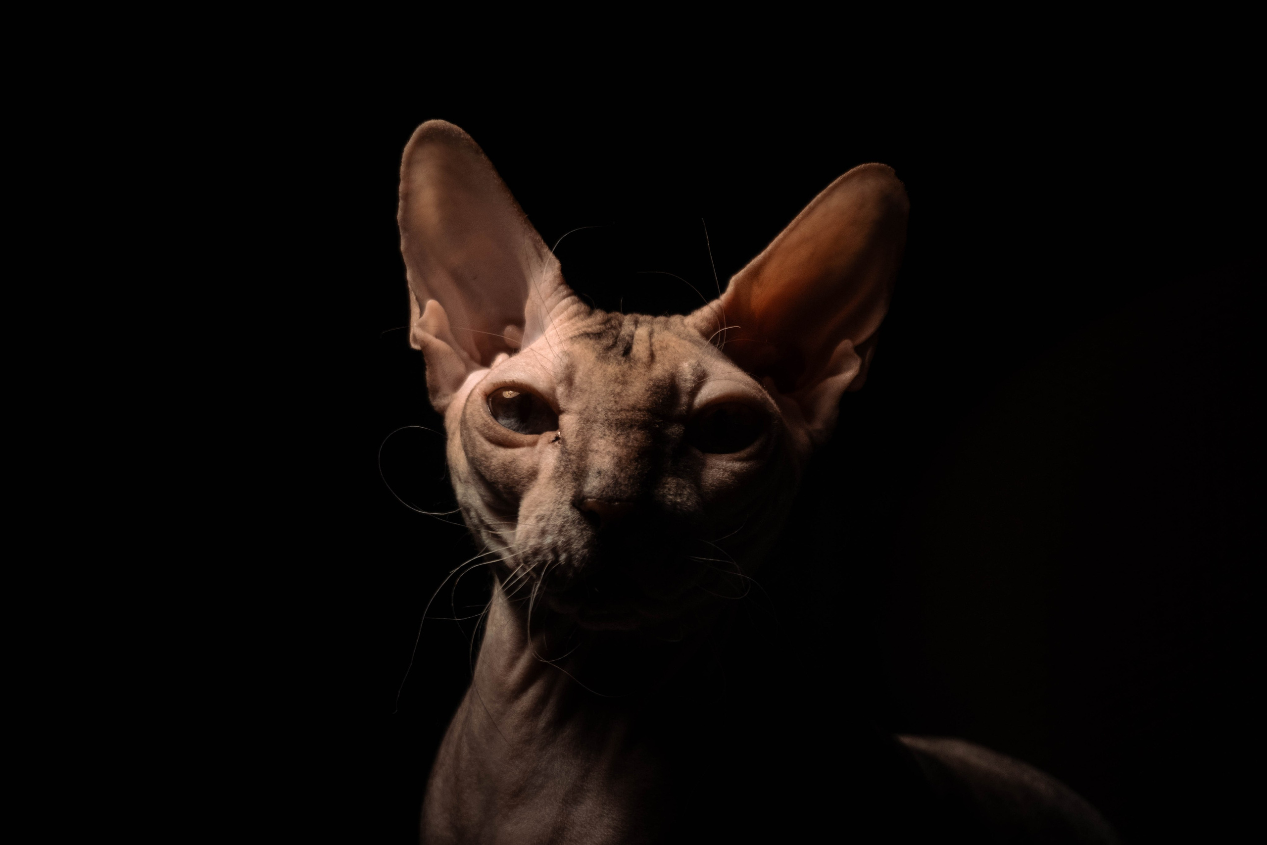 Все в перемешку. Фотограф Крутой Максим