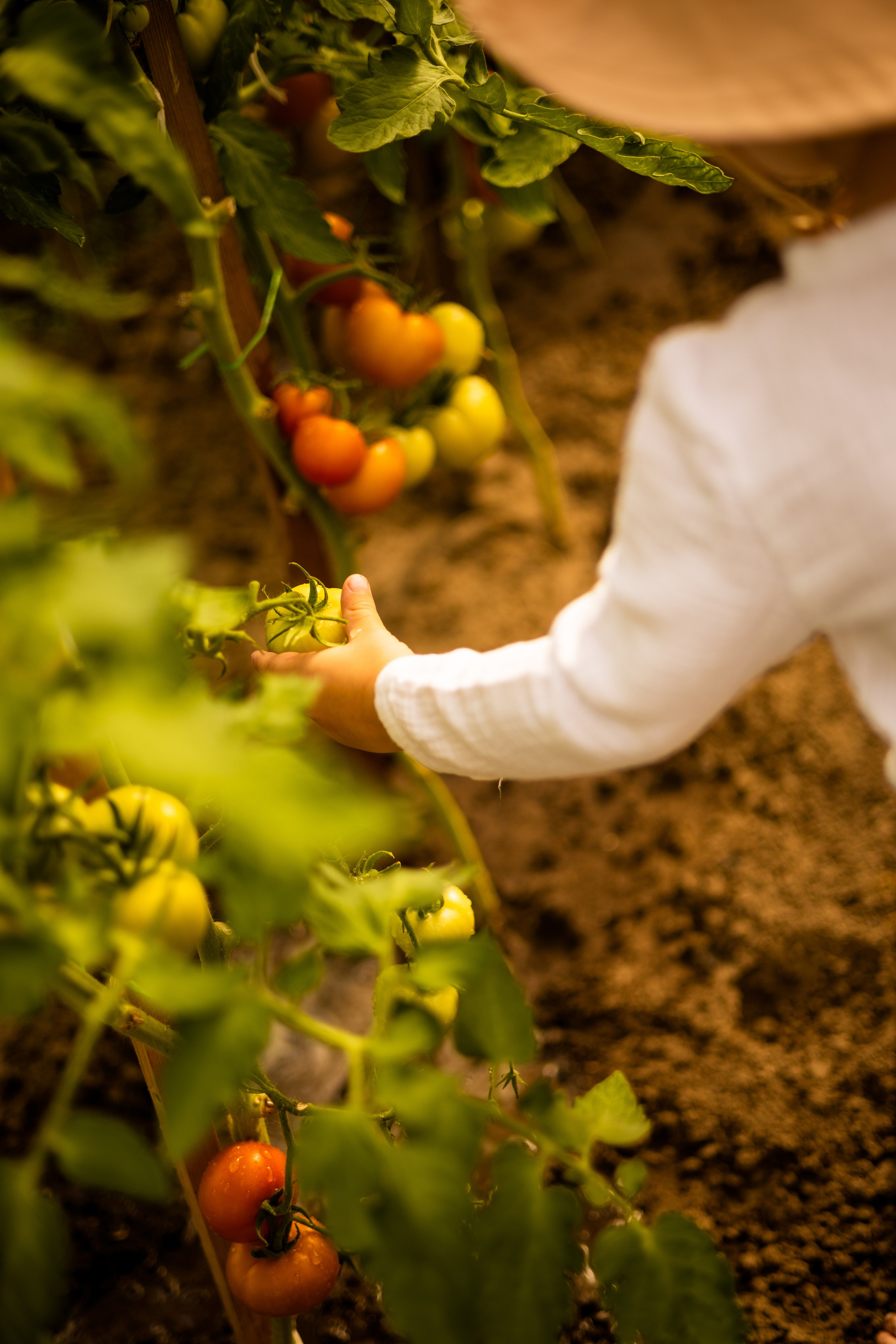 Детская фотосессия. Помидорки. Фотограф Самойлова Анна Архангельск, Северодвинск