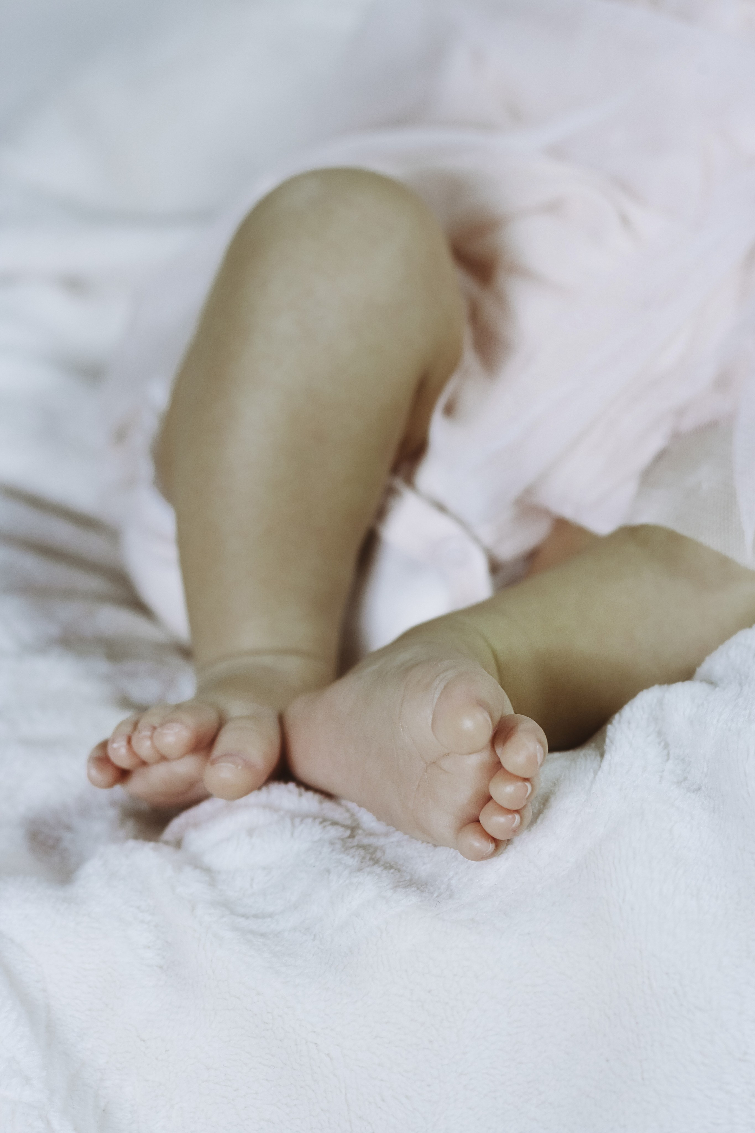 2 месяца. Алиса Томшина — Фотограф / Видеограф