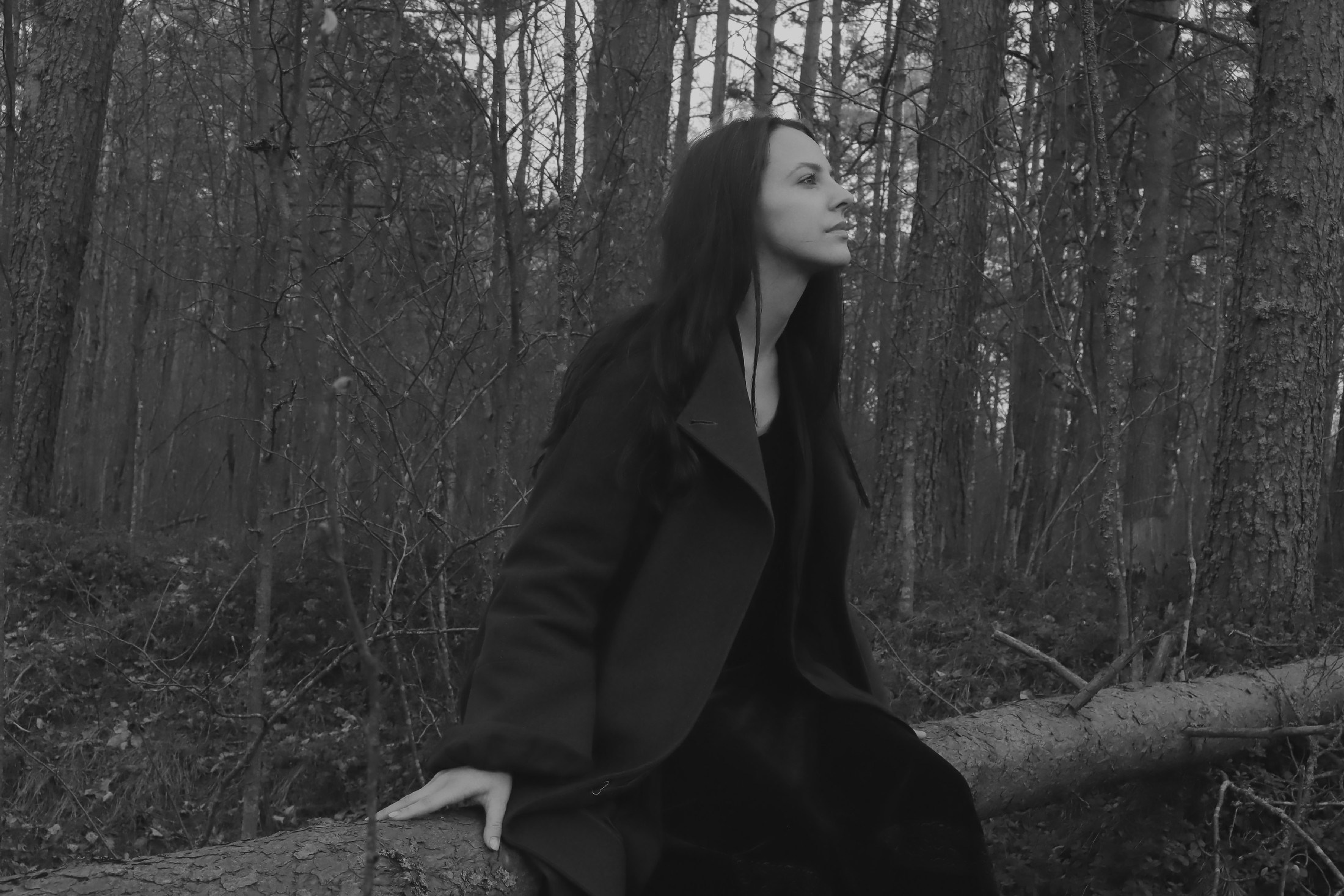 Лебяжье, берег Финского залива. FOTOFAQ SKOOL г. Санкт-Петербург: очные, дистанционные и онлайн курсы фотографии