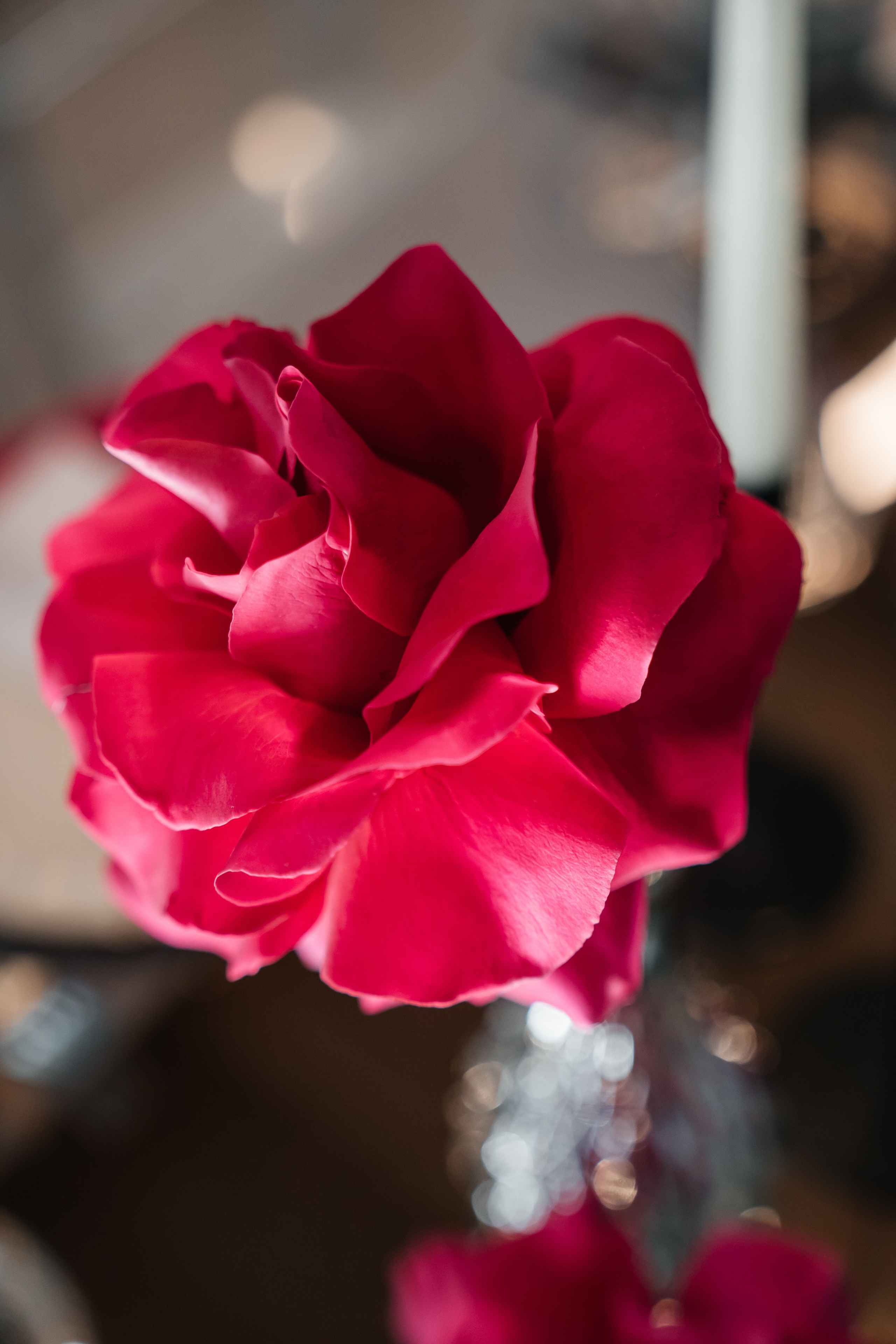 Антон и Анна. Свадебный и семейный фотограф В Барнауле Нечаева Таня