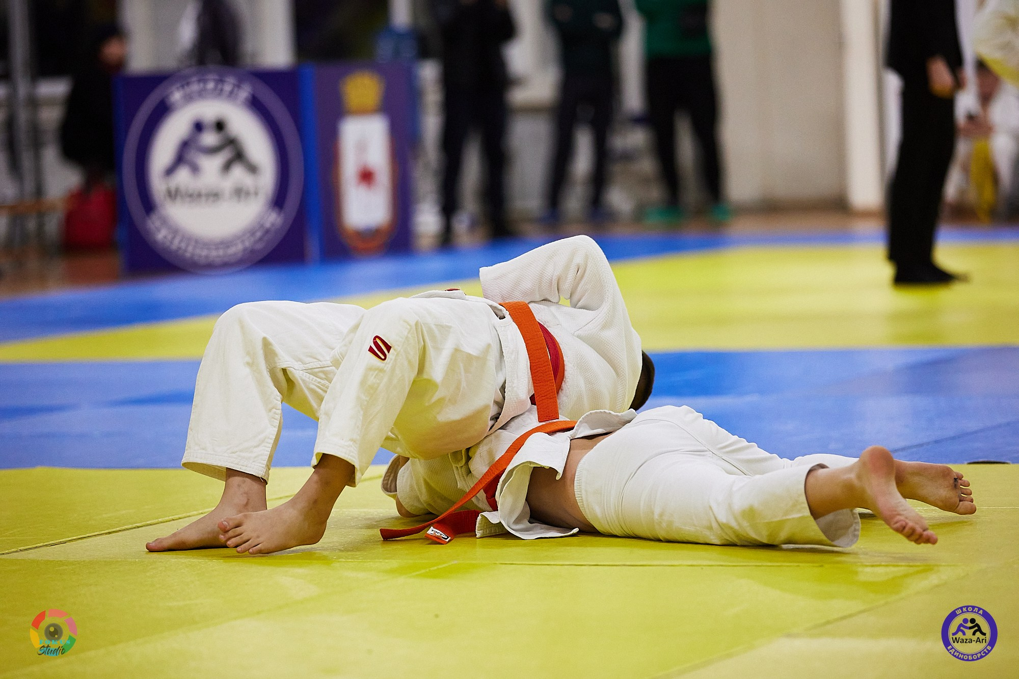 Репортаж Турнир по дзюдо. Спортивный фотограф Некрасов Денис