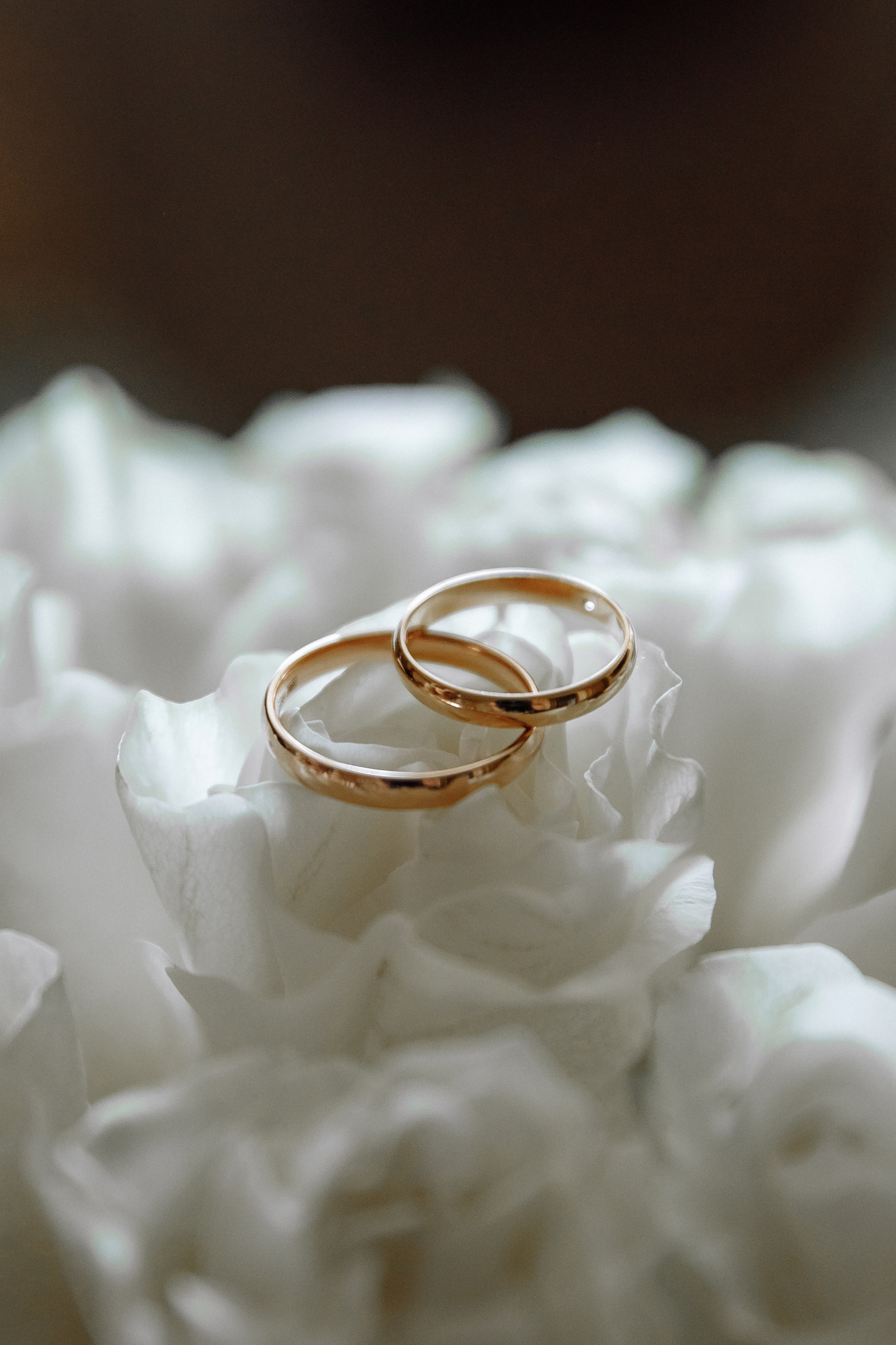 Слава и Юлия. Свадебный фотограф Фадеева Алёна