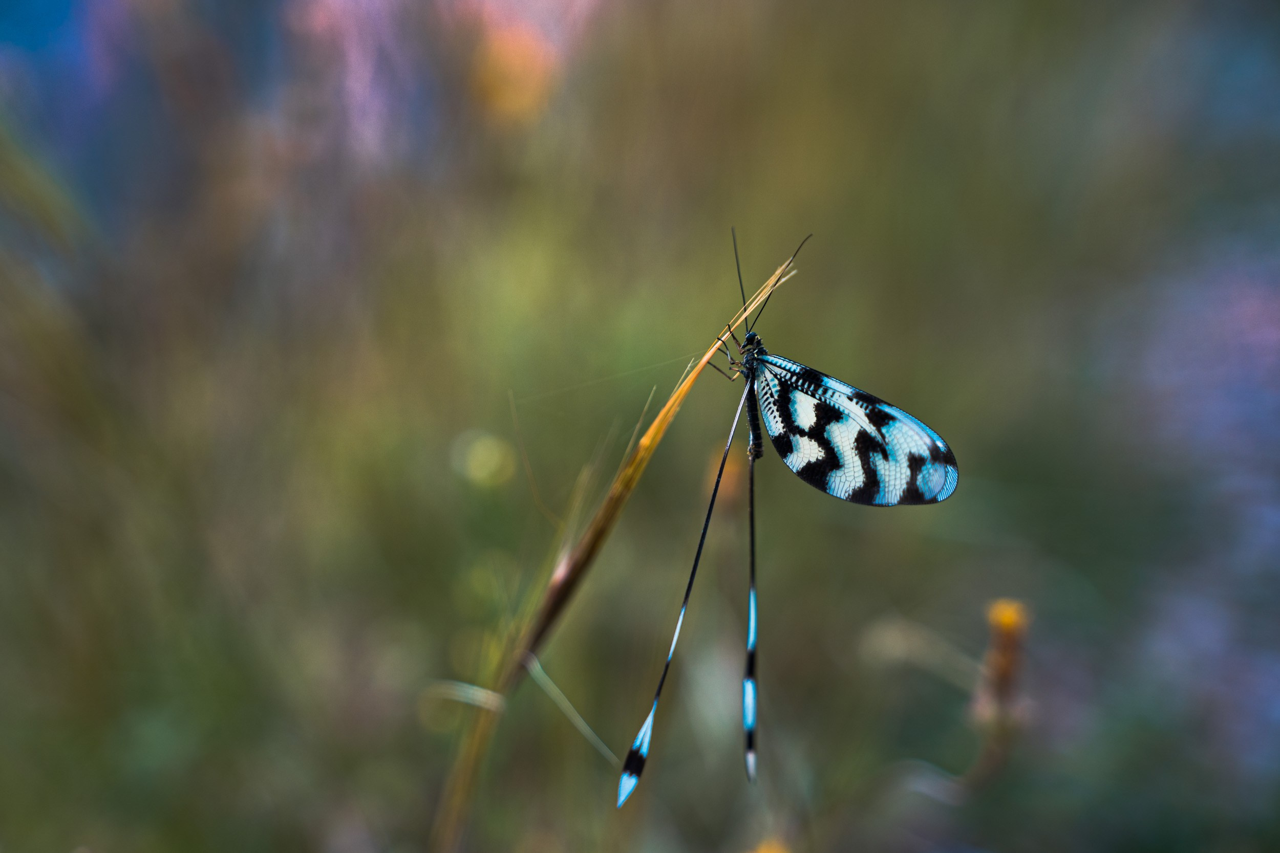 Турция. Западная Ликийская тропа. Фотограф в поход и восхождение на Эльбрус Игорь Косарев