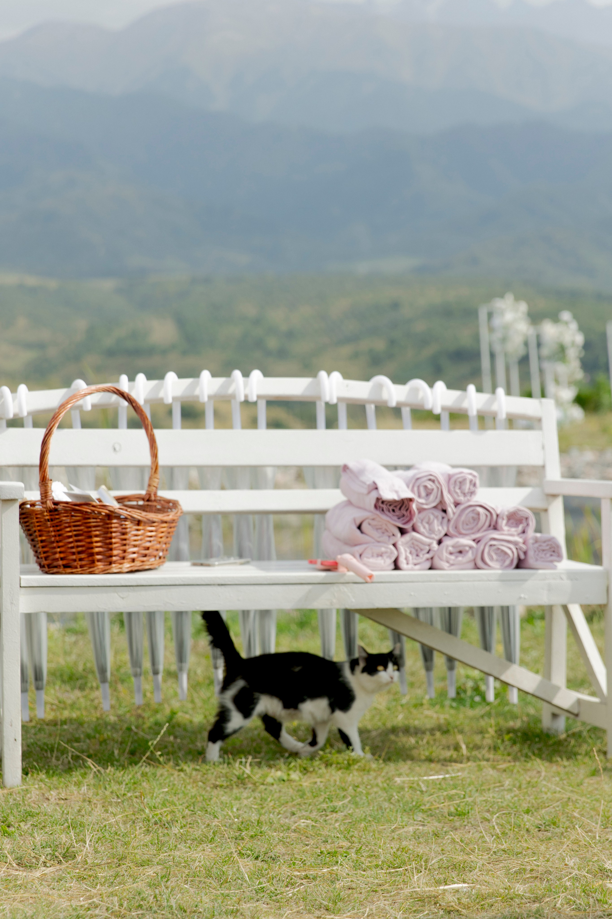 Саша и Настя. Свадебный и семейный фотограф в Новокузнецке Кемерово Новосибирске Богульская Ульяна