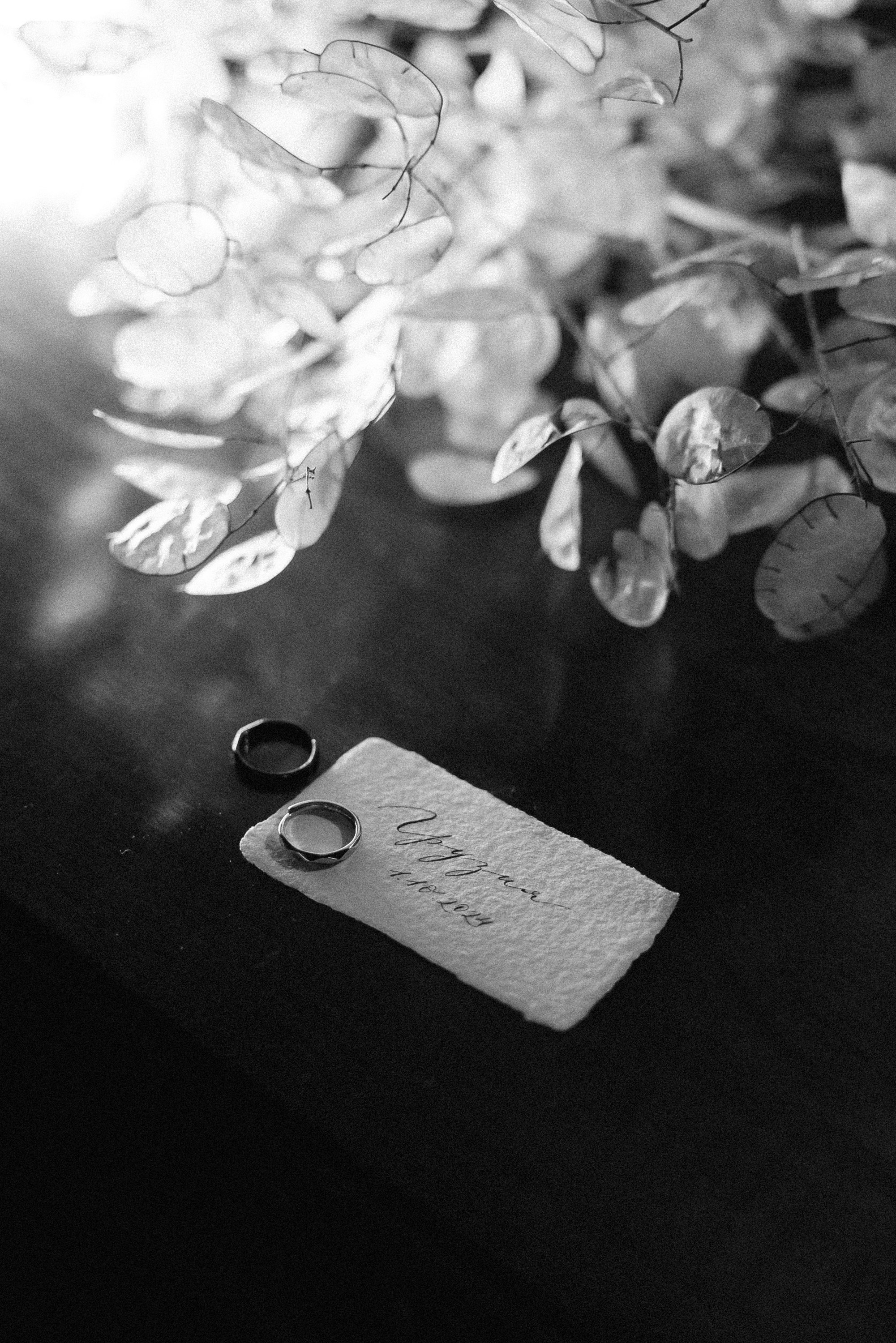 Свадебные фото. Свадебный фотограф  г. Тюмень Ольга Арсенюк