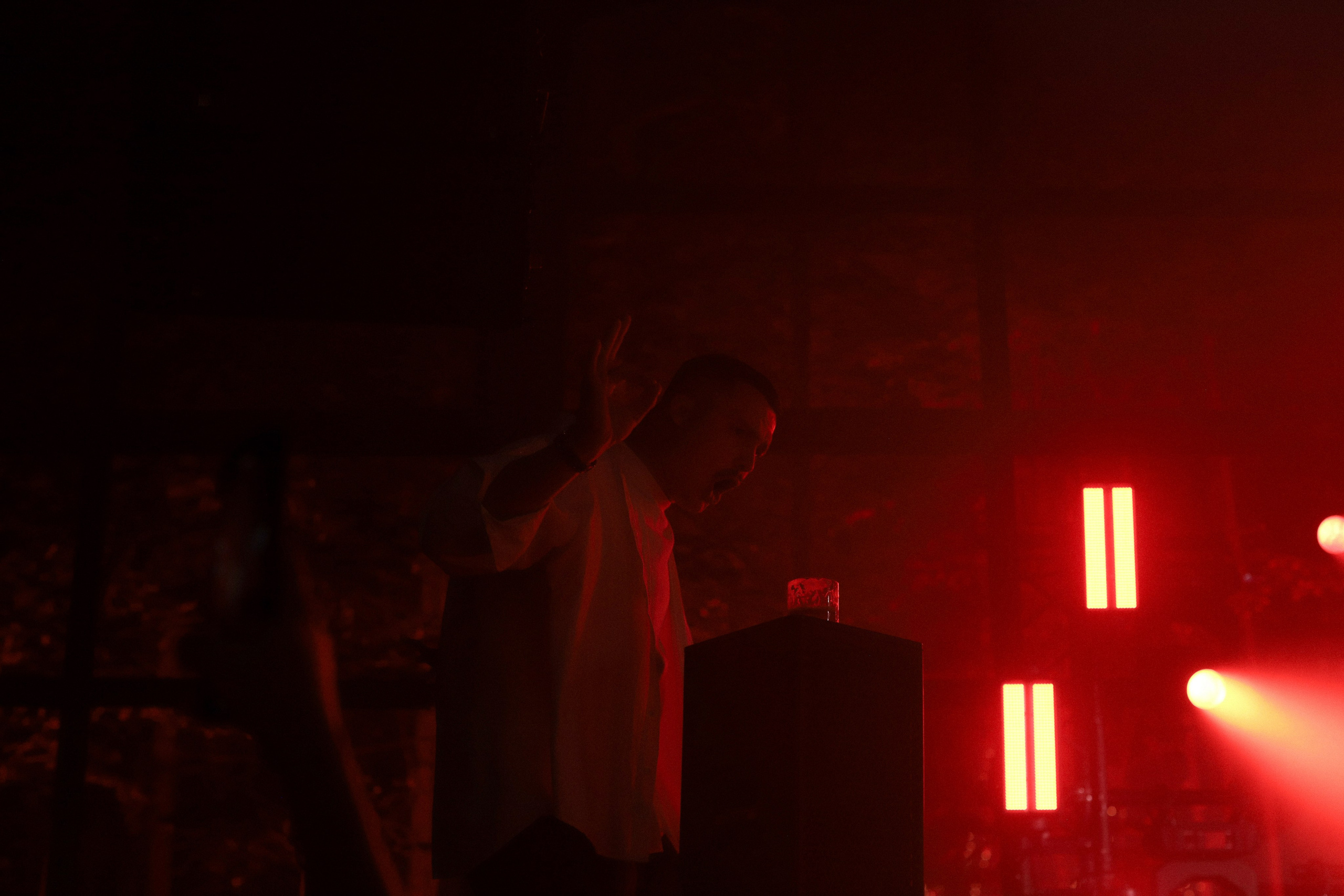 Елена и Марк. Фотограф Москва, Чехов Цыкоза Алина