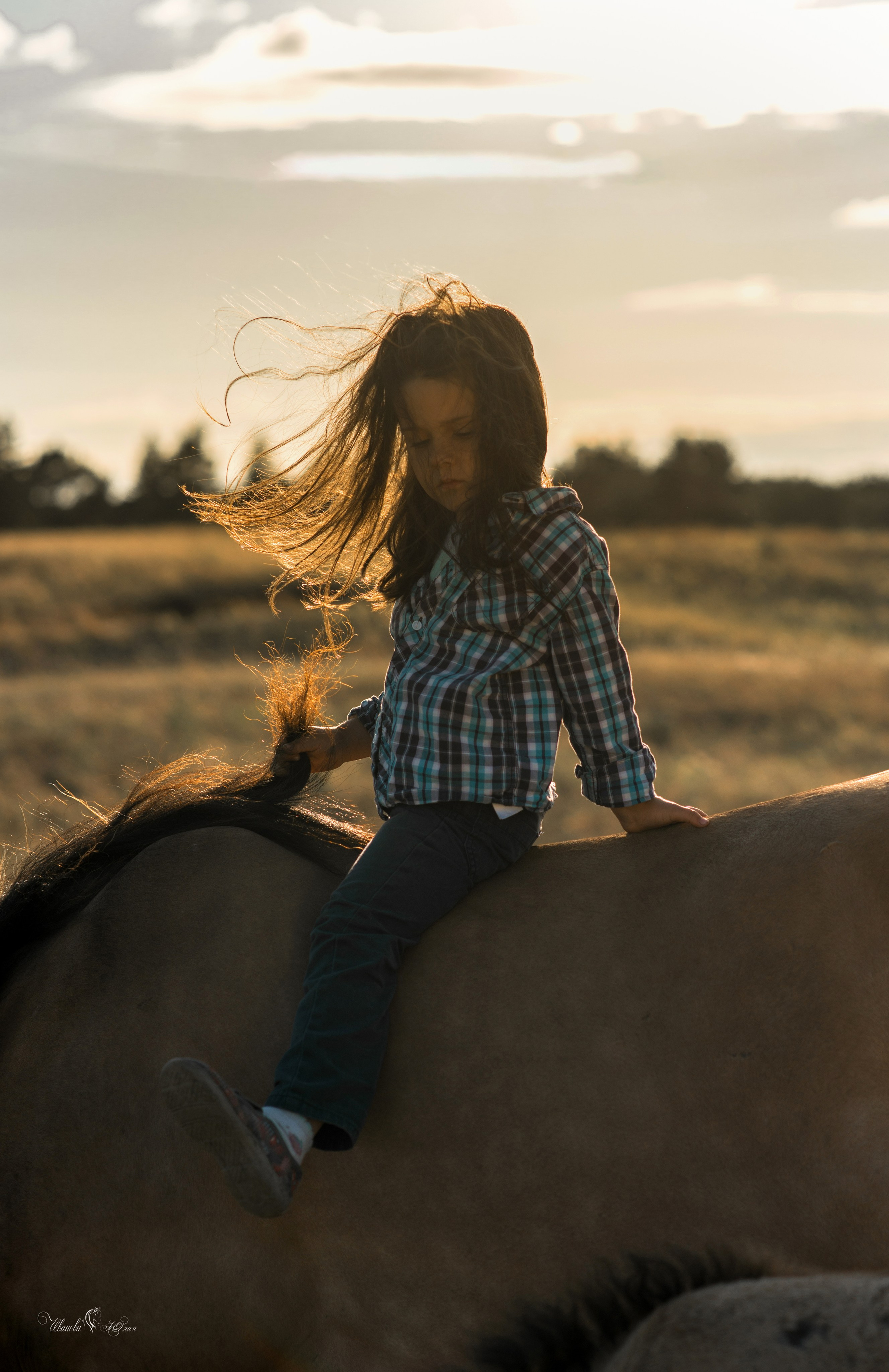 Семья Василия и Натальи. Конный фотограф в Саратове Юлия Иванова
