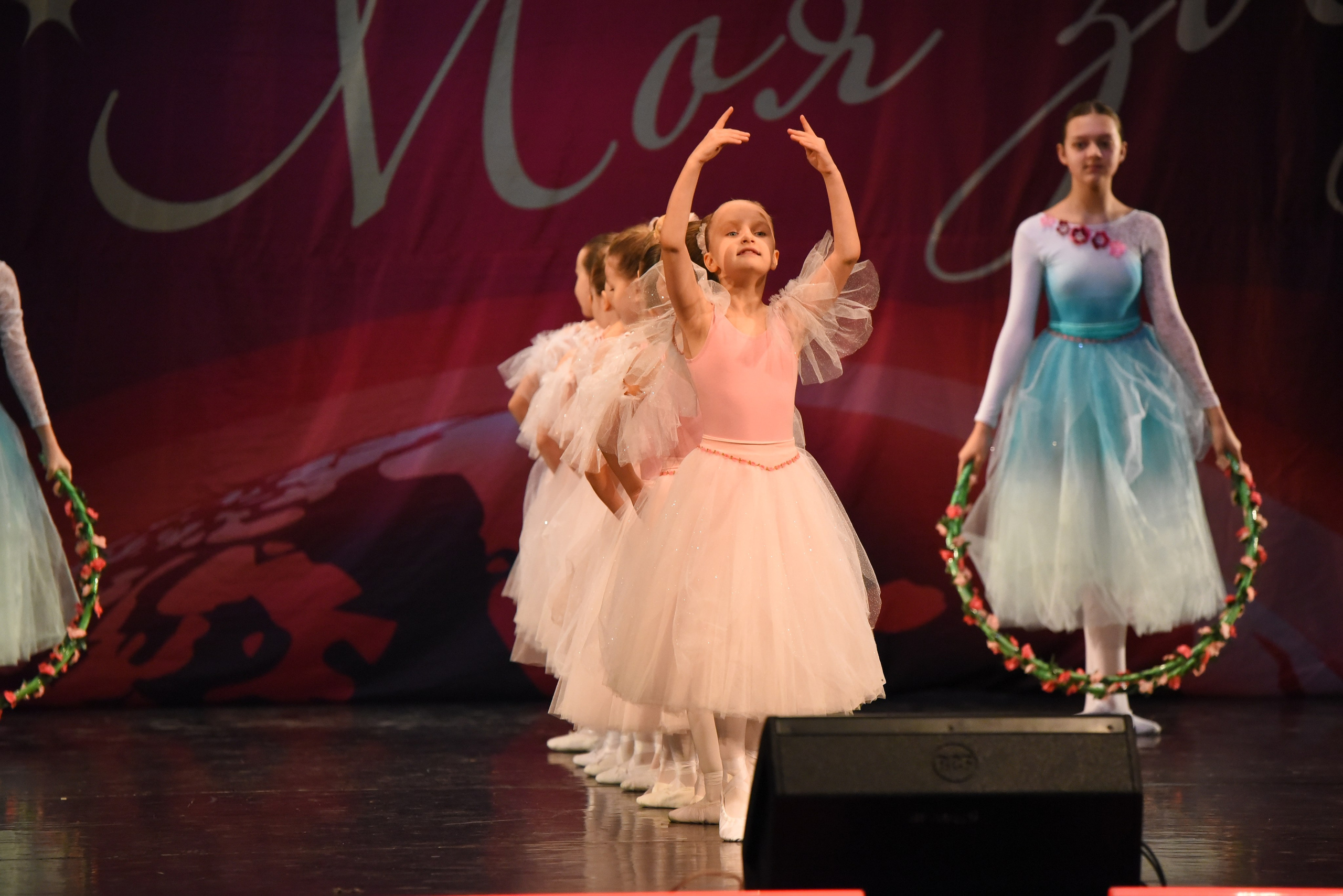 13 декабря, г. Калининград. Золотое яблочко