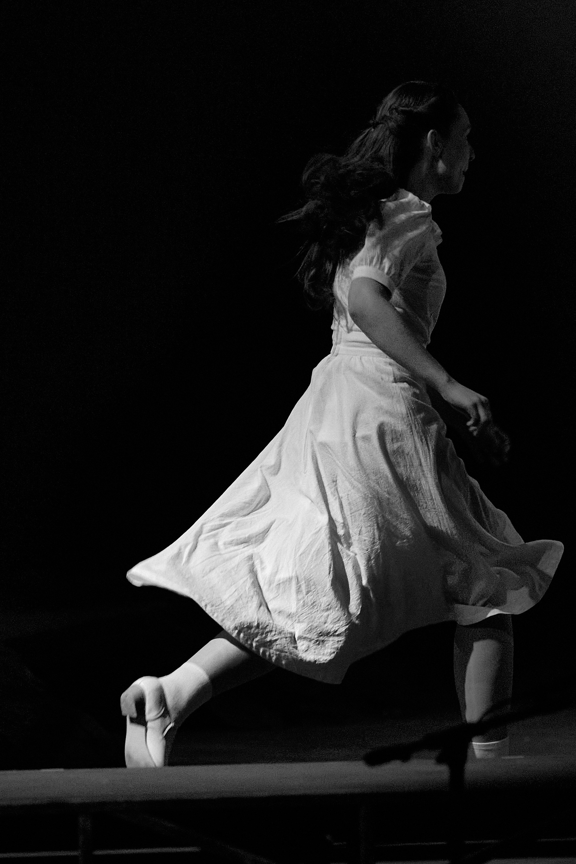 Летят журавли. Фотограф Юлия Маринина