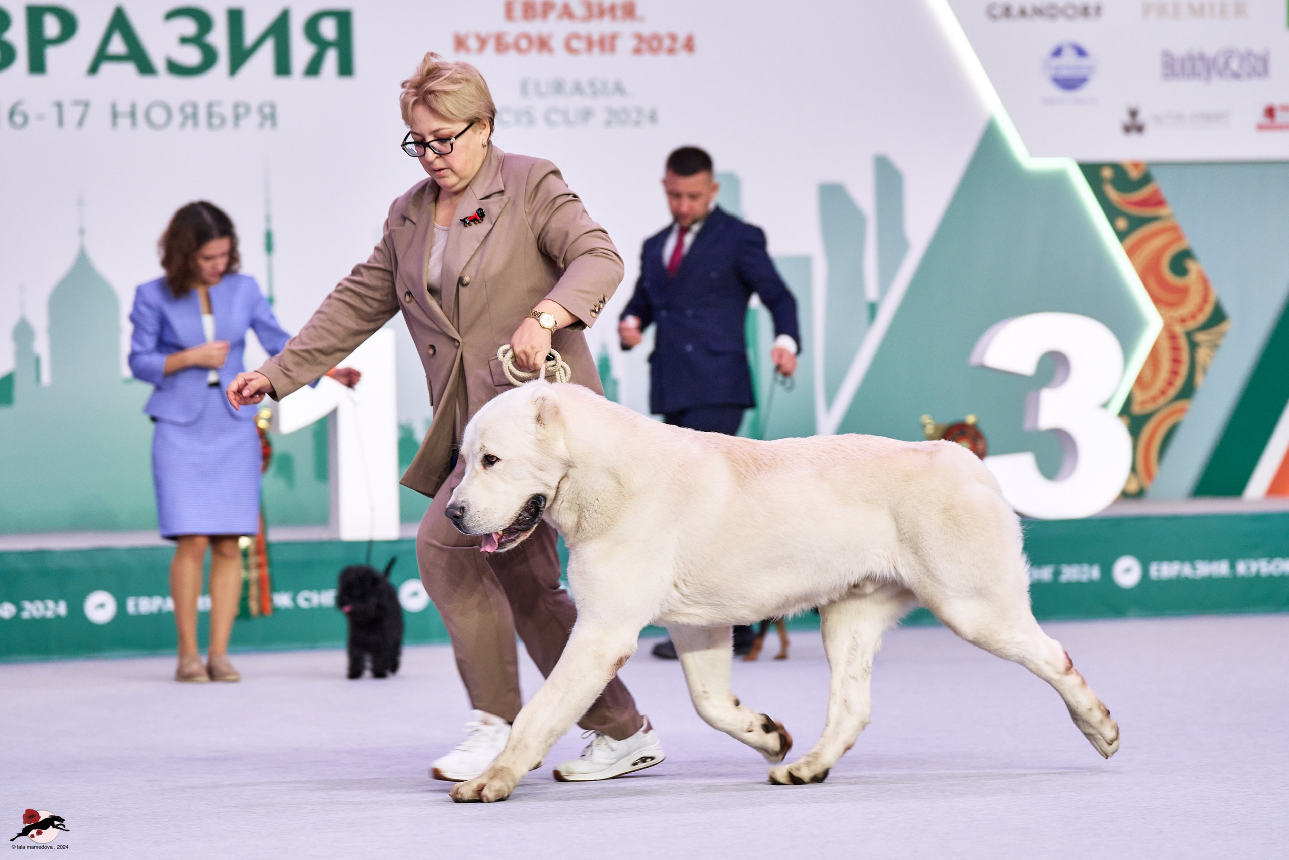17.11.2024 «ЕВРАЗИЯ. КУБОК СНГ 2024»