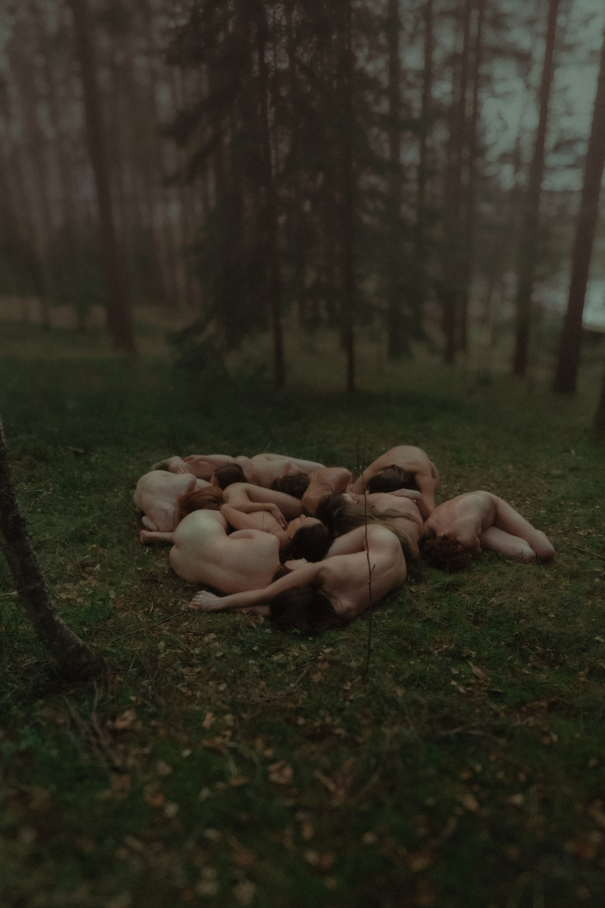 Дикие корни. Художественный фотограф СПБ, Дубай