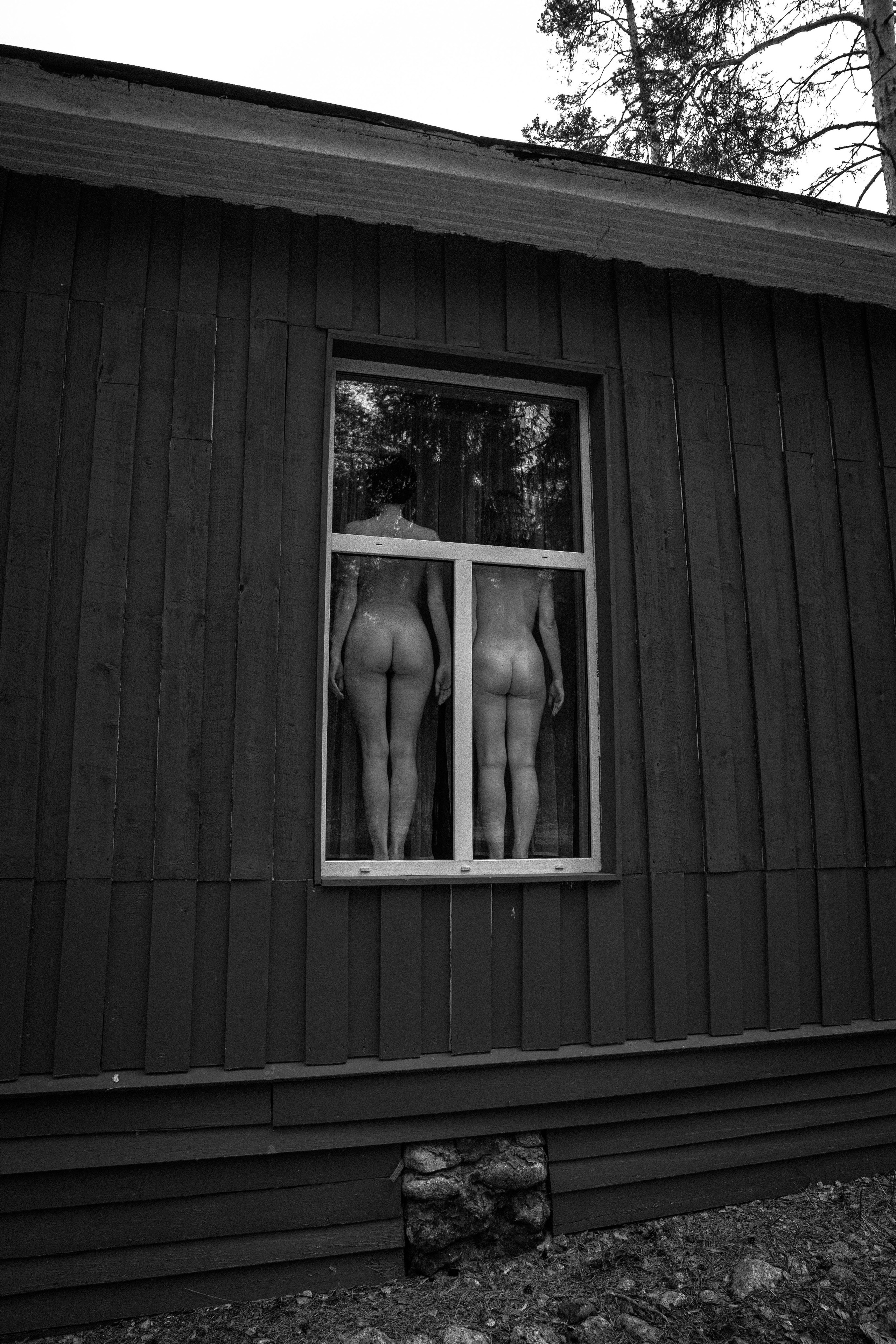 Дикие корни. Художественный фотограф СПБ, Дубай