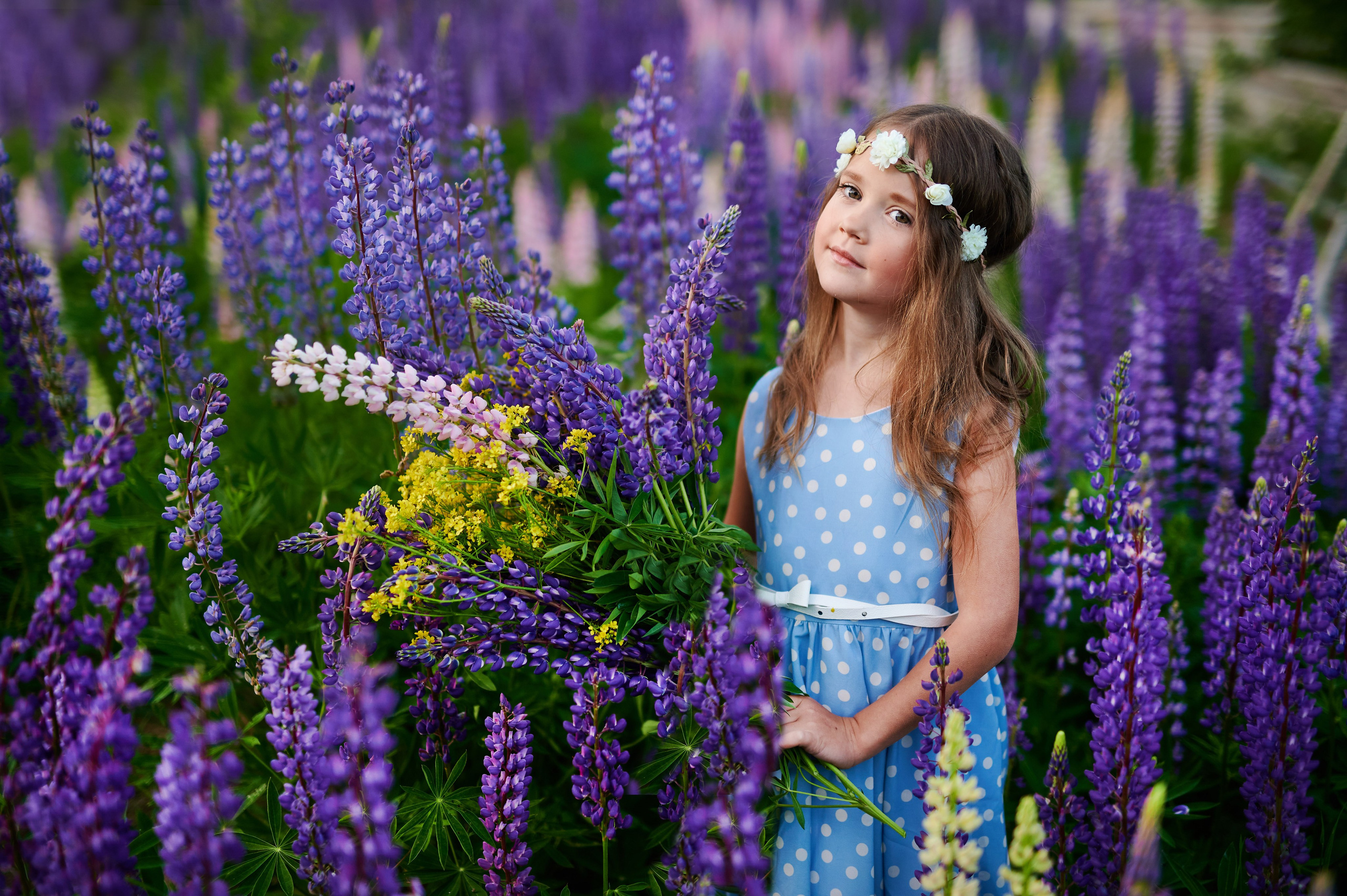 Счастье в люпинах. Портретный, семейный и свадебный фотограф в Санкт-Петербурге и в Пушкине Ширяев Денис