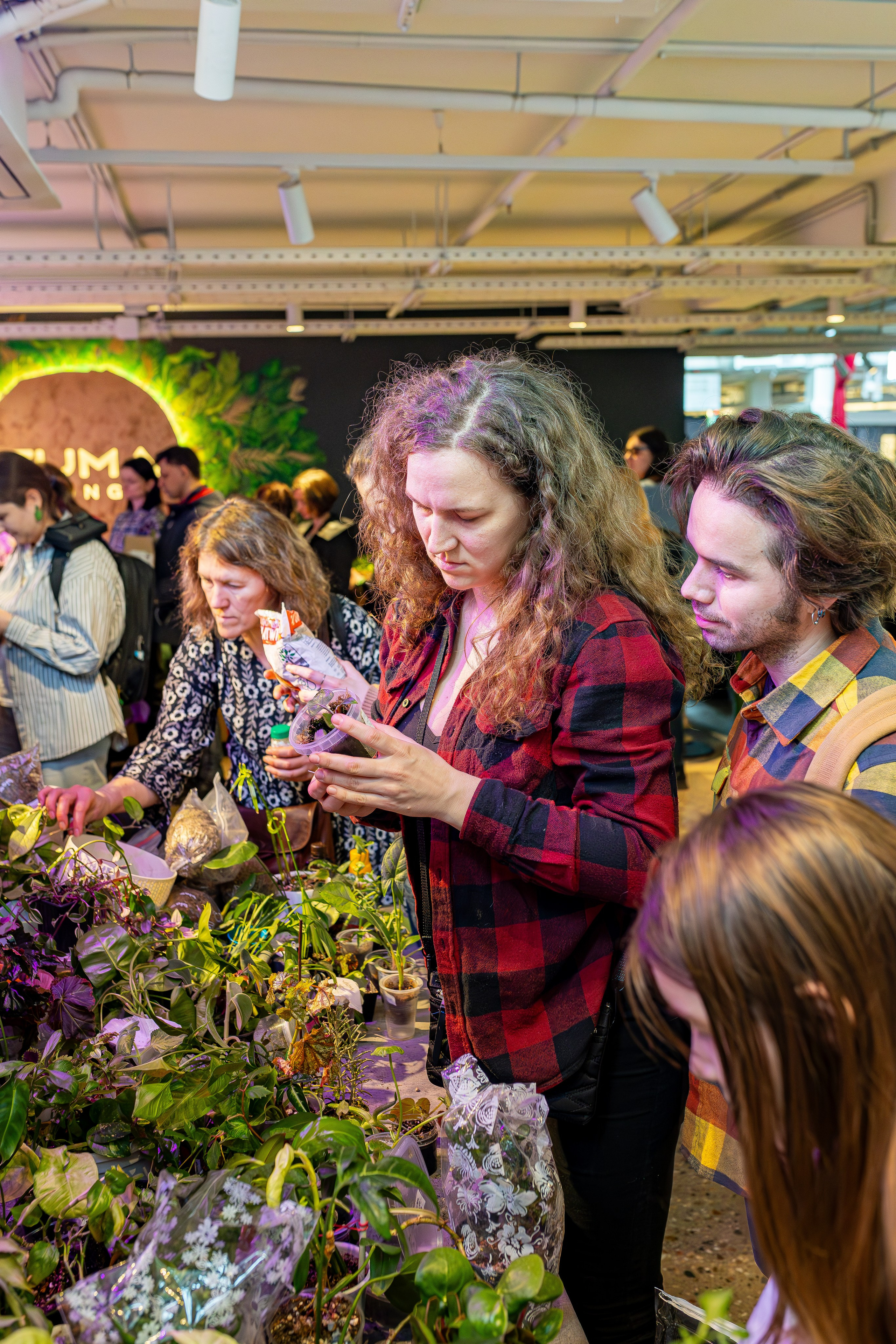 Growbox 1–2 марта. Александра Куликова фотограф, Москва