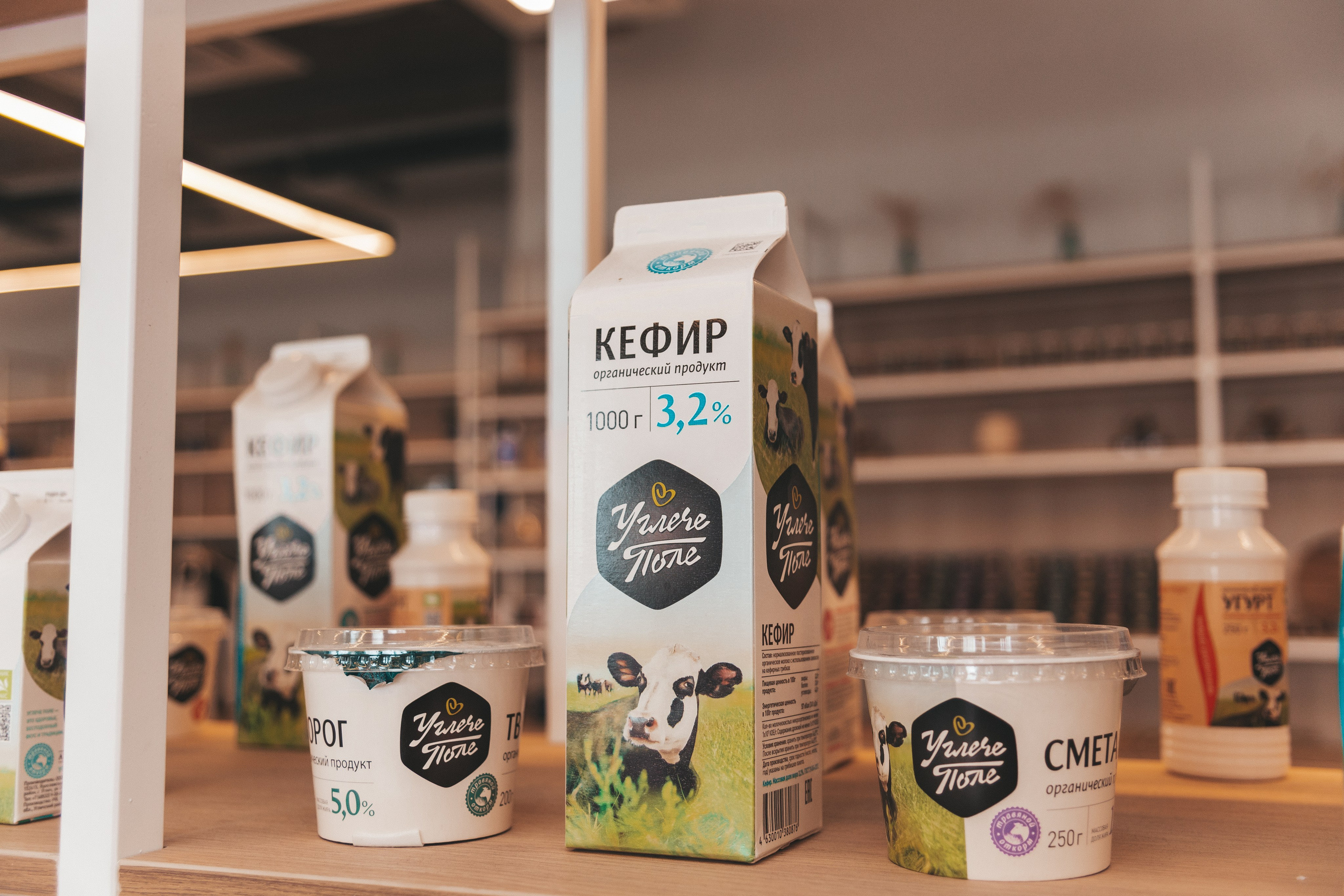 Музей-завод Сыр Культ Просвет. Фотограф в Ярославле Ольга Пыненкова