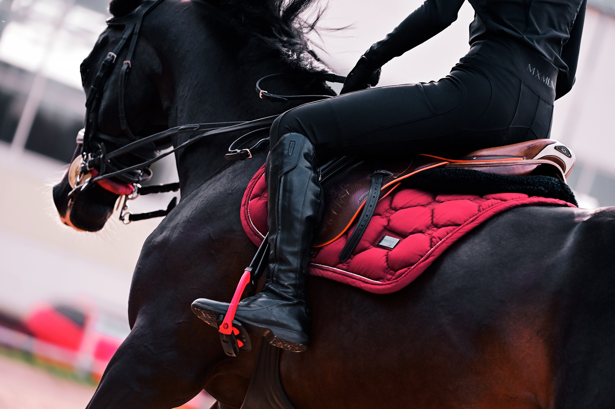 Тренировки. Конный фотограф Alesya Safe