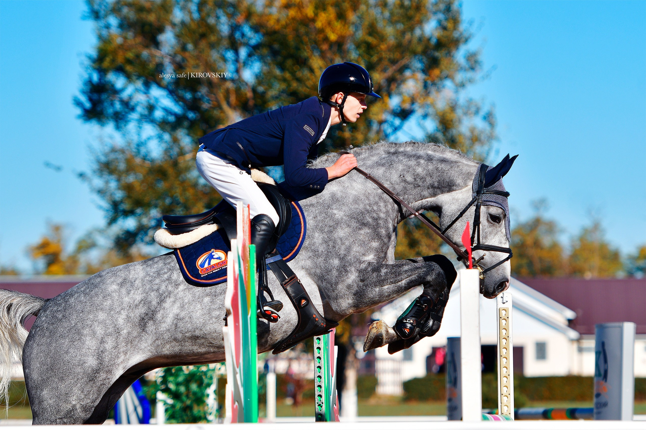 Кировский конный завод. Конный фотограф Alesya Safe