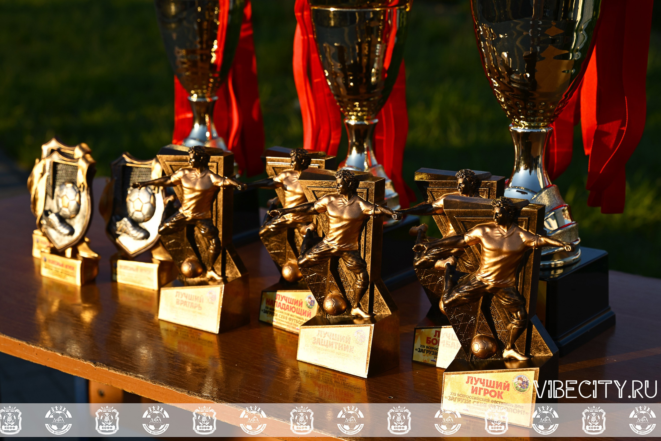 XIV ВСЕРОССИЙСКИЙ ФУТБОЛЬНЫЙ ФЕСТИВАЛЬ «ЗАГРУЗИ СЕБЯ ФУТБОЛОМ!». VIBECITY.RU Вайб Сити Ру Фоторепортажи Фотоотчеты Калининград