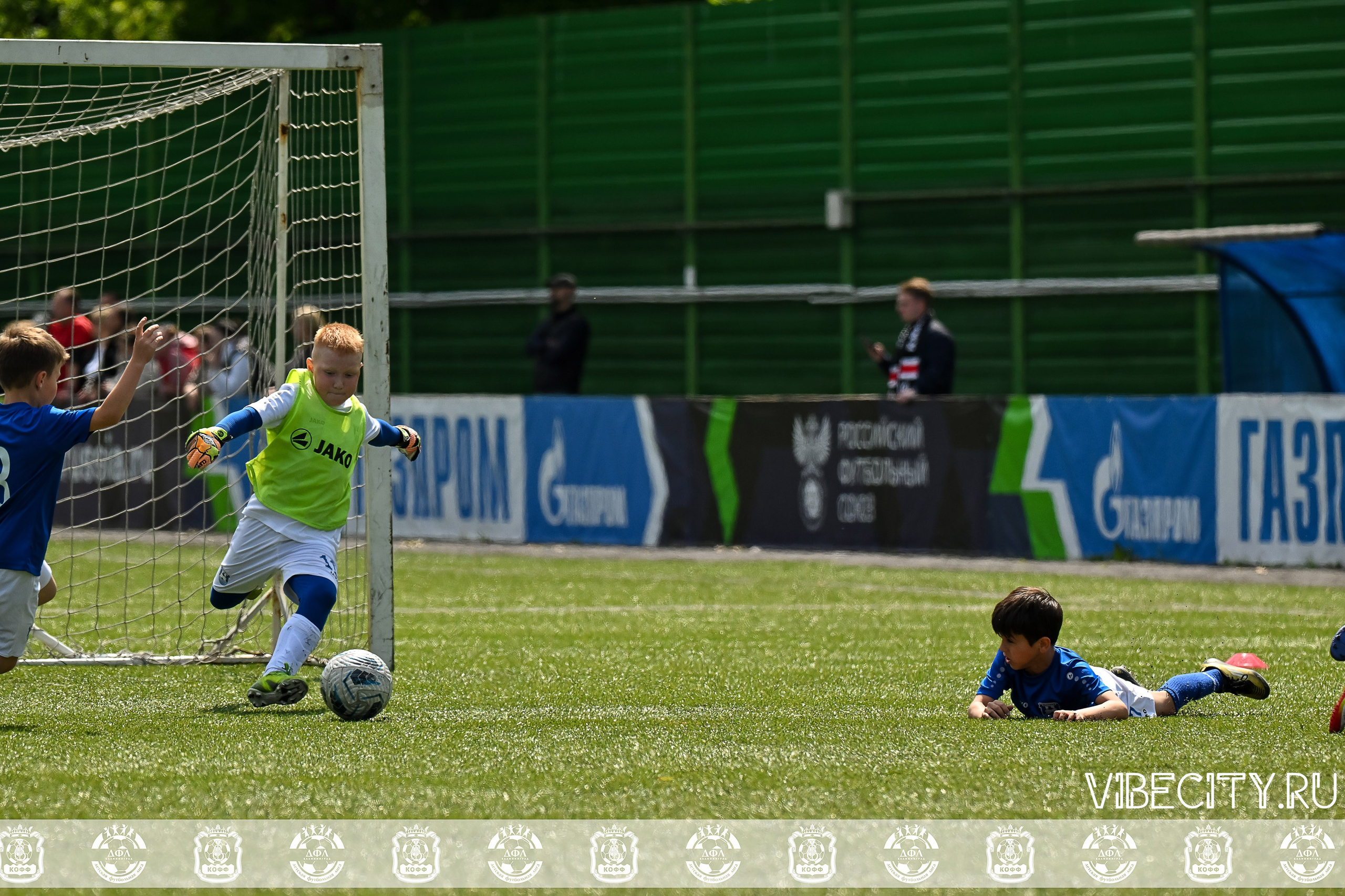 Большие Звезды светят Малым. VIBECITY.RU Вайб Сити Ру Фоторепортажи Фотоотчеты Калининград