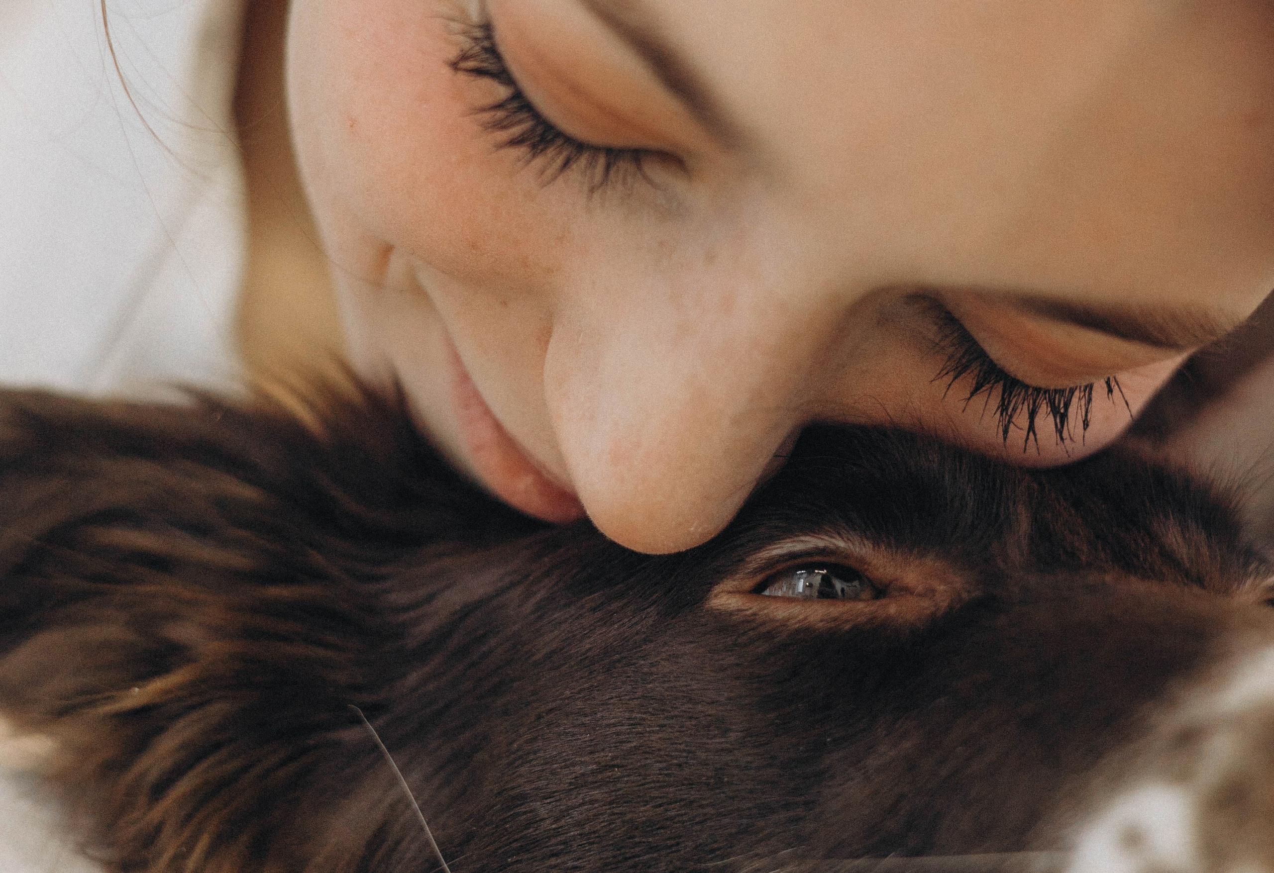 Алена и Гвендолин. Фотограф-анималист Богданова Полина