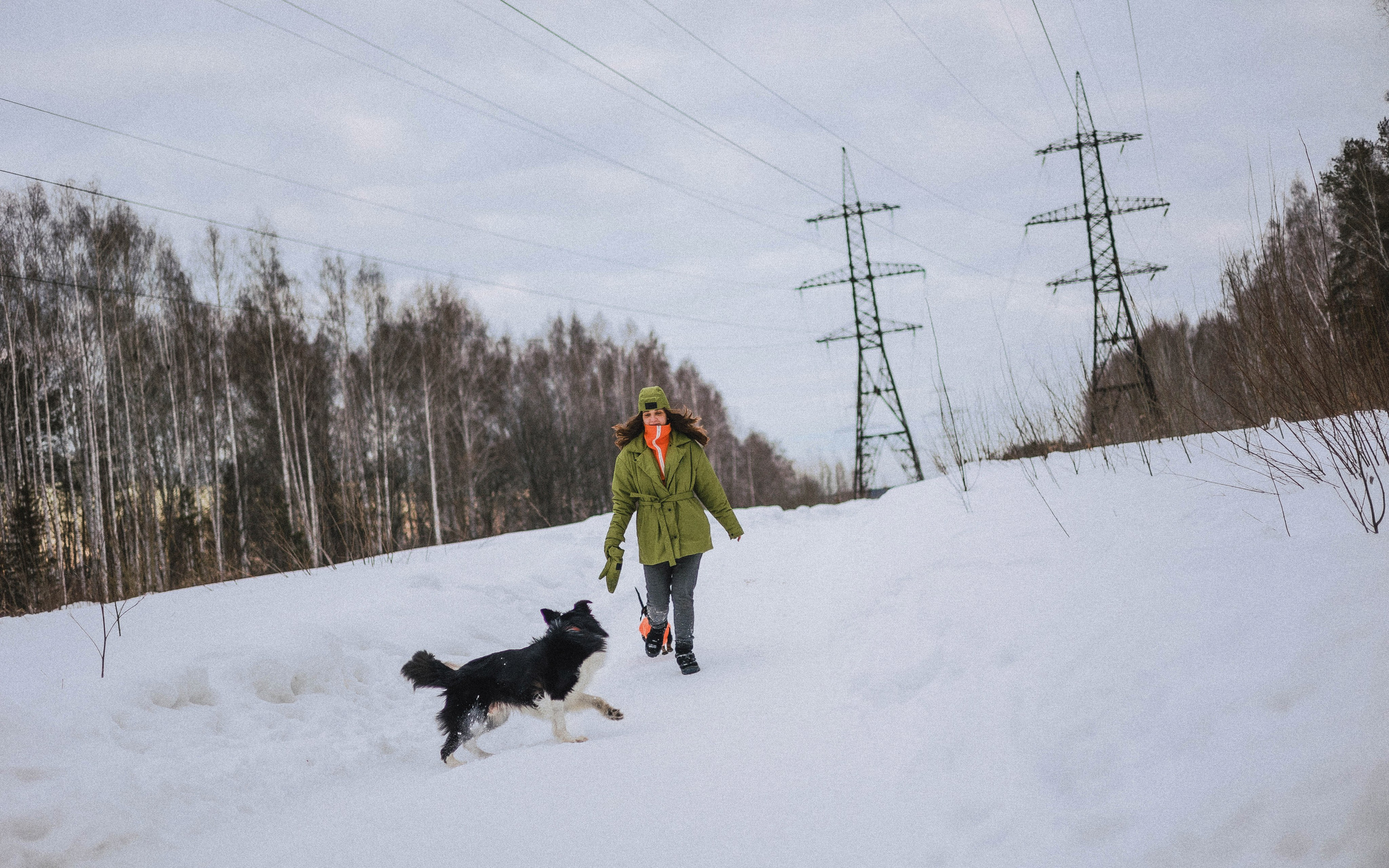 Маша, Рэм и Ньютон. Фотограф-анималист Богданова Полина