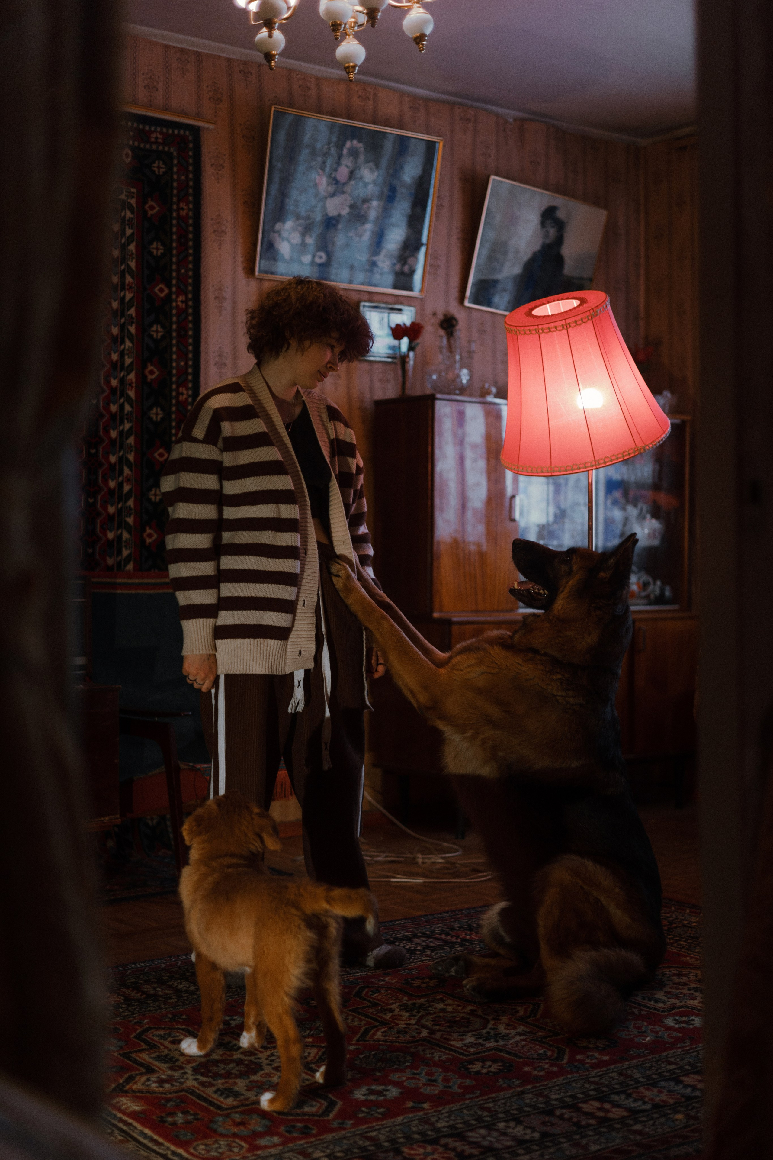 Лера, Реджи и Ральф. Фотограф-анималист Богданова Полина