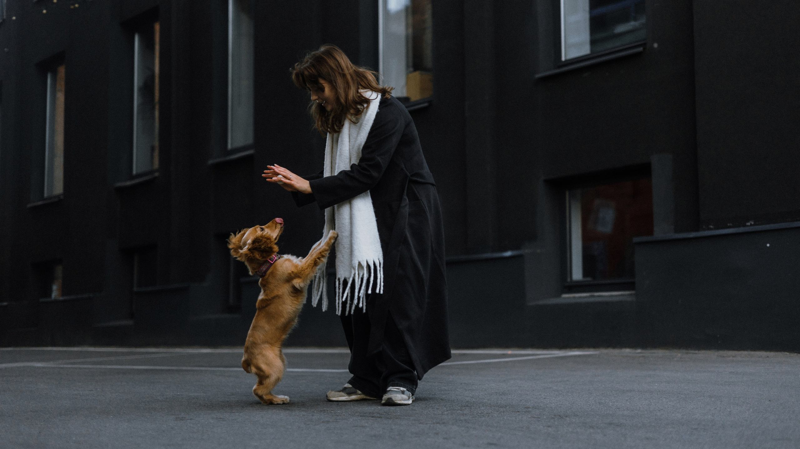 Аня, Андрей и Юта. Фотограф-анималист Богданова Полина