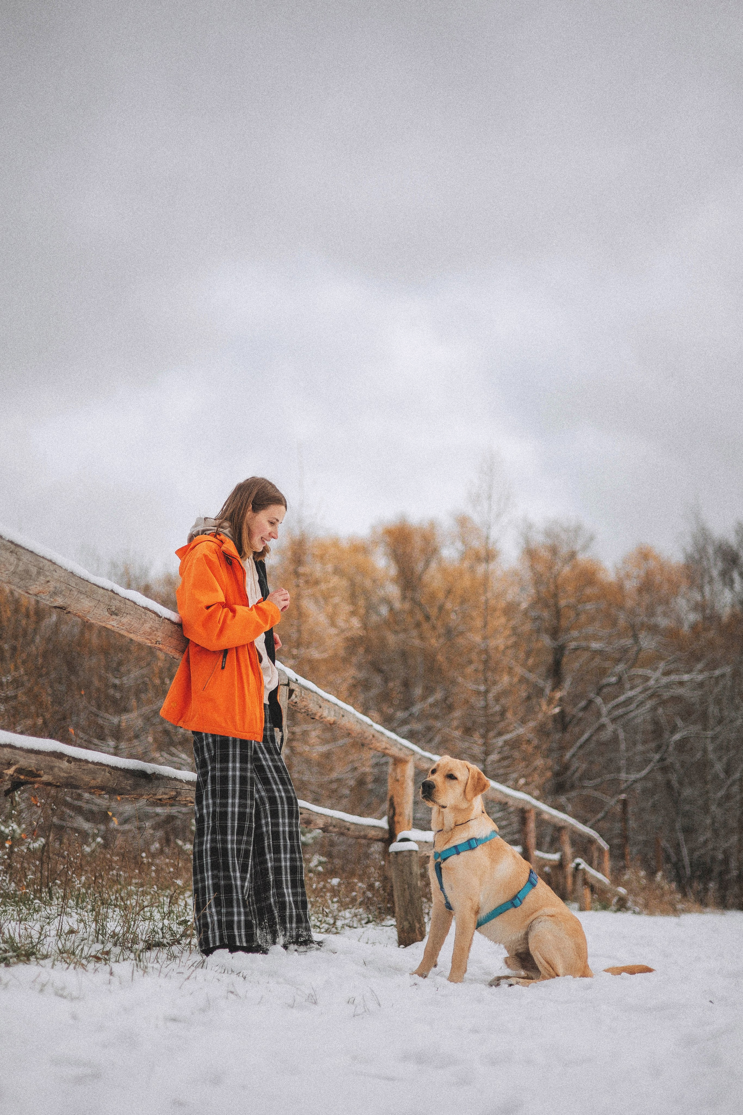 Маргарита и Варди. Фотограф-анималист Богданова Полина