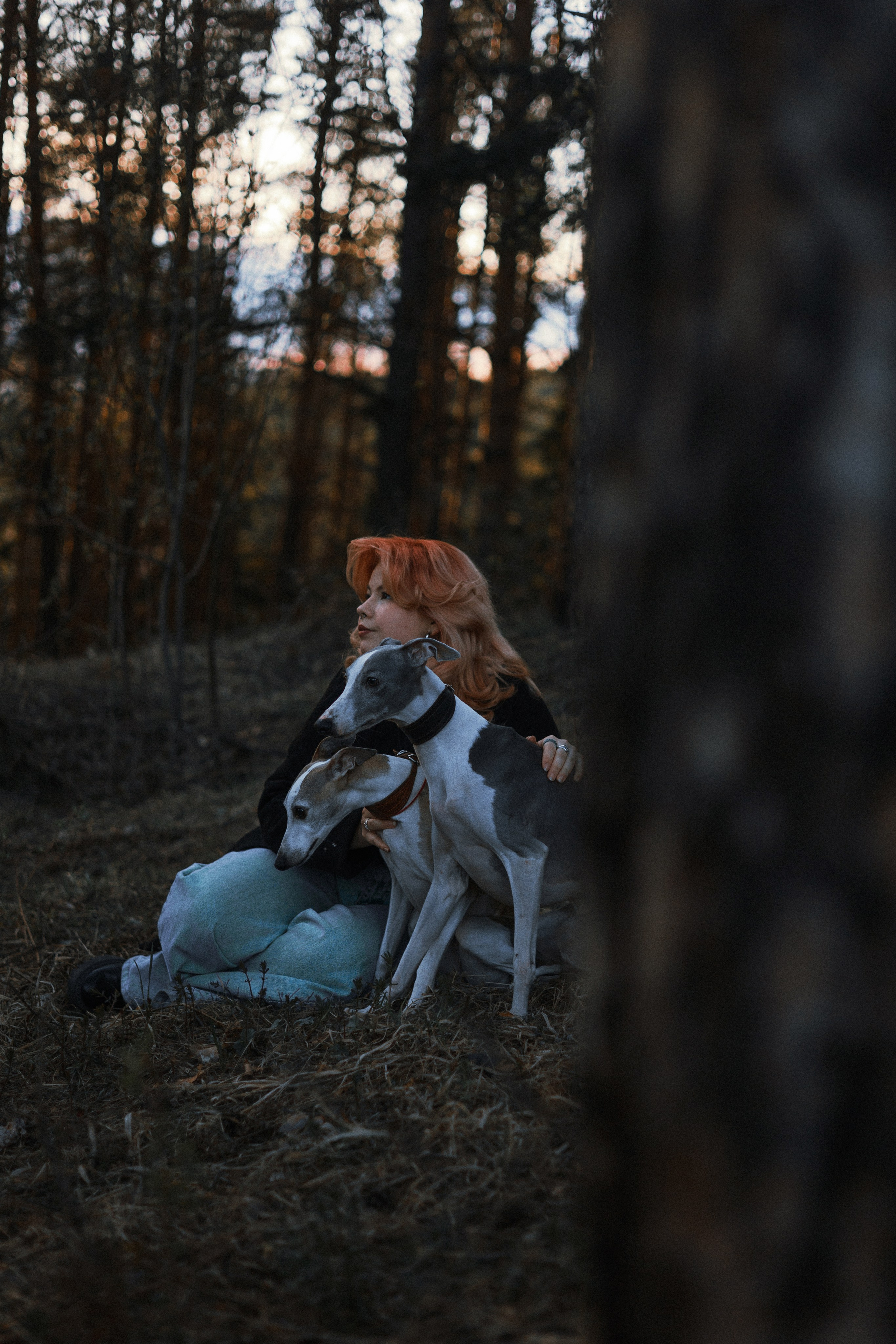 Вика, Джем и Белла. Фотограф-анималист Богданова Полина