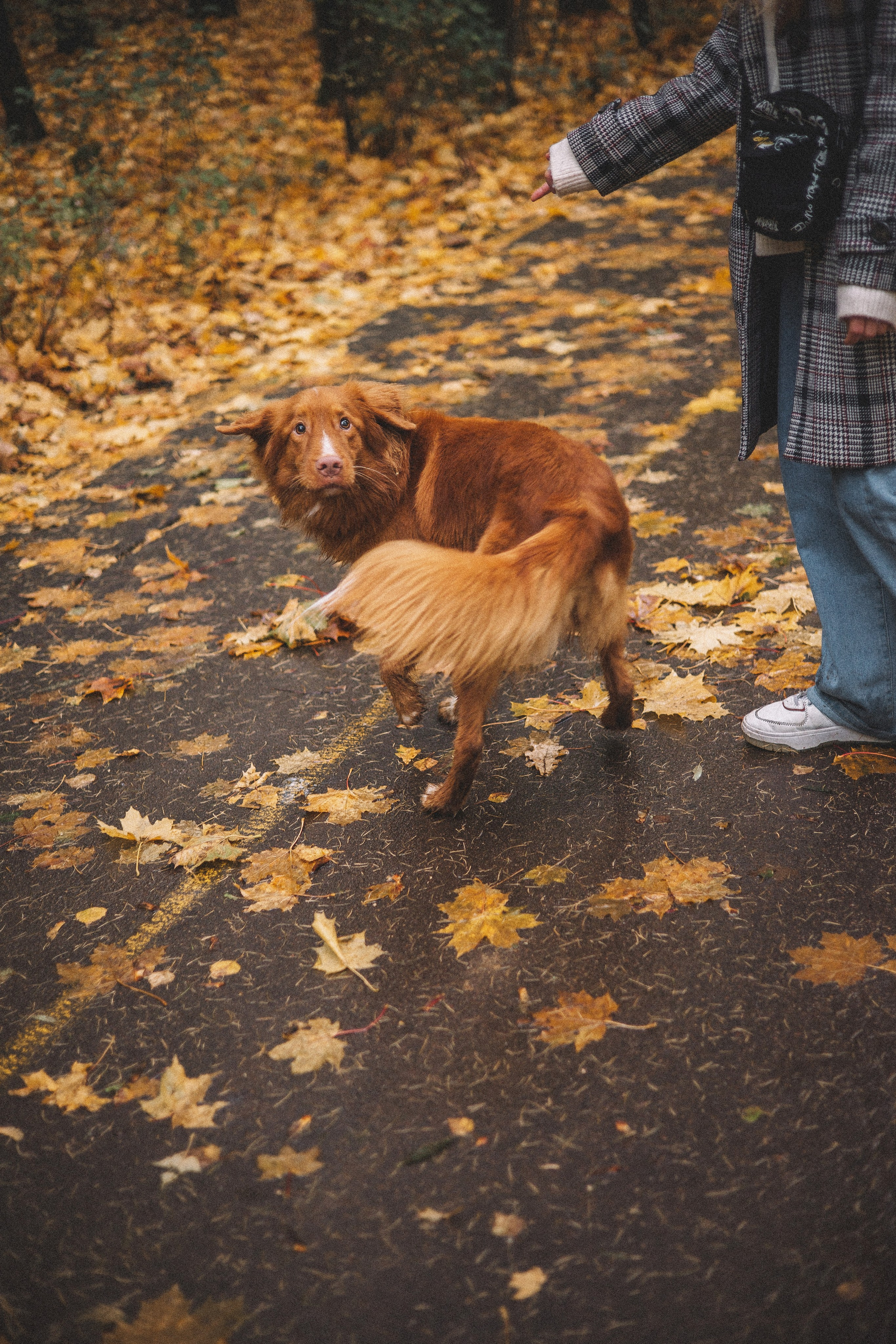 Алина и Бис. Фотограф-анималист Богданова Полина