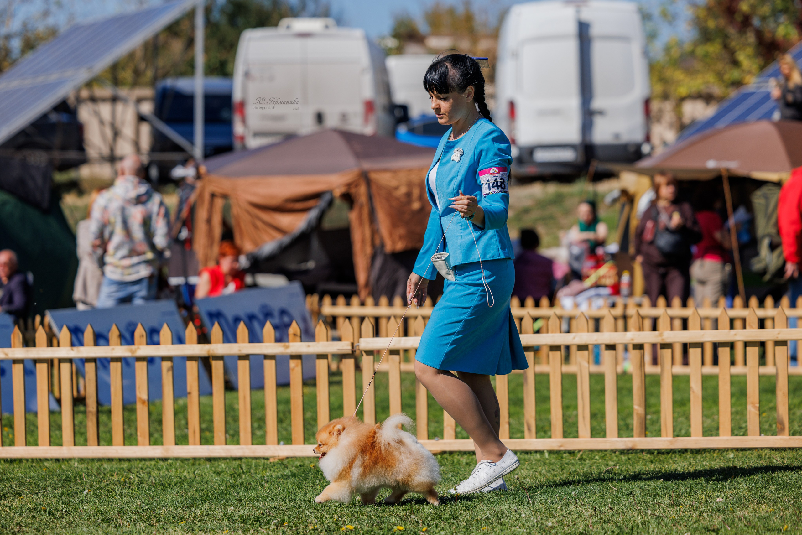 Ереван 14-16.10.2025. Фотограф-анималист Юлия Германика